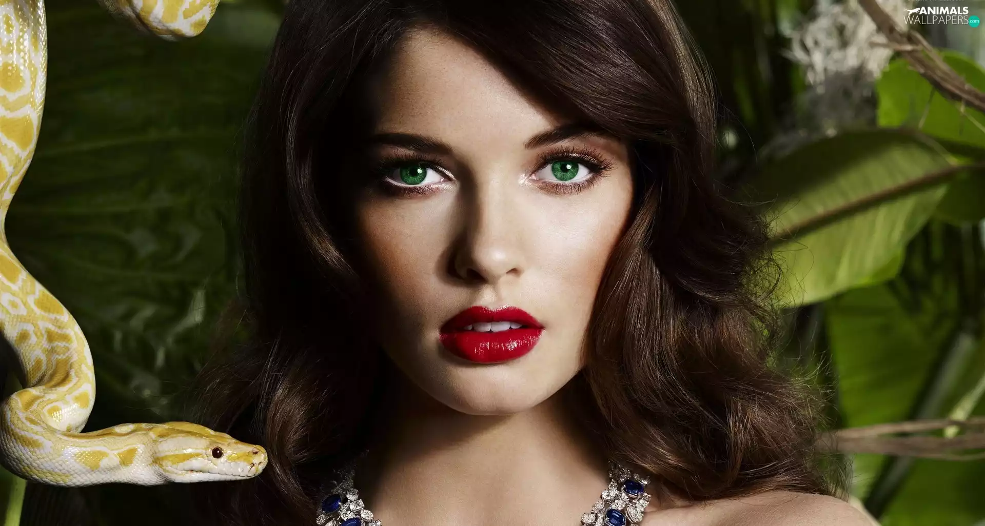 Snake, Sandra Hellberg, make-up