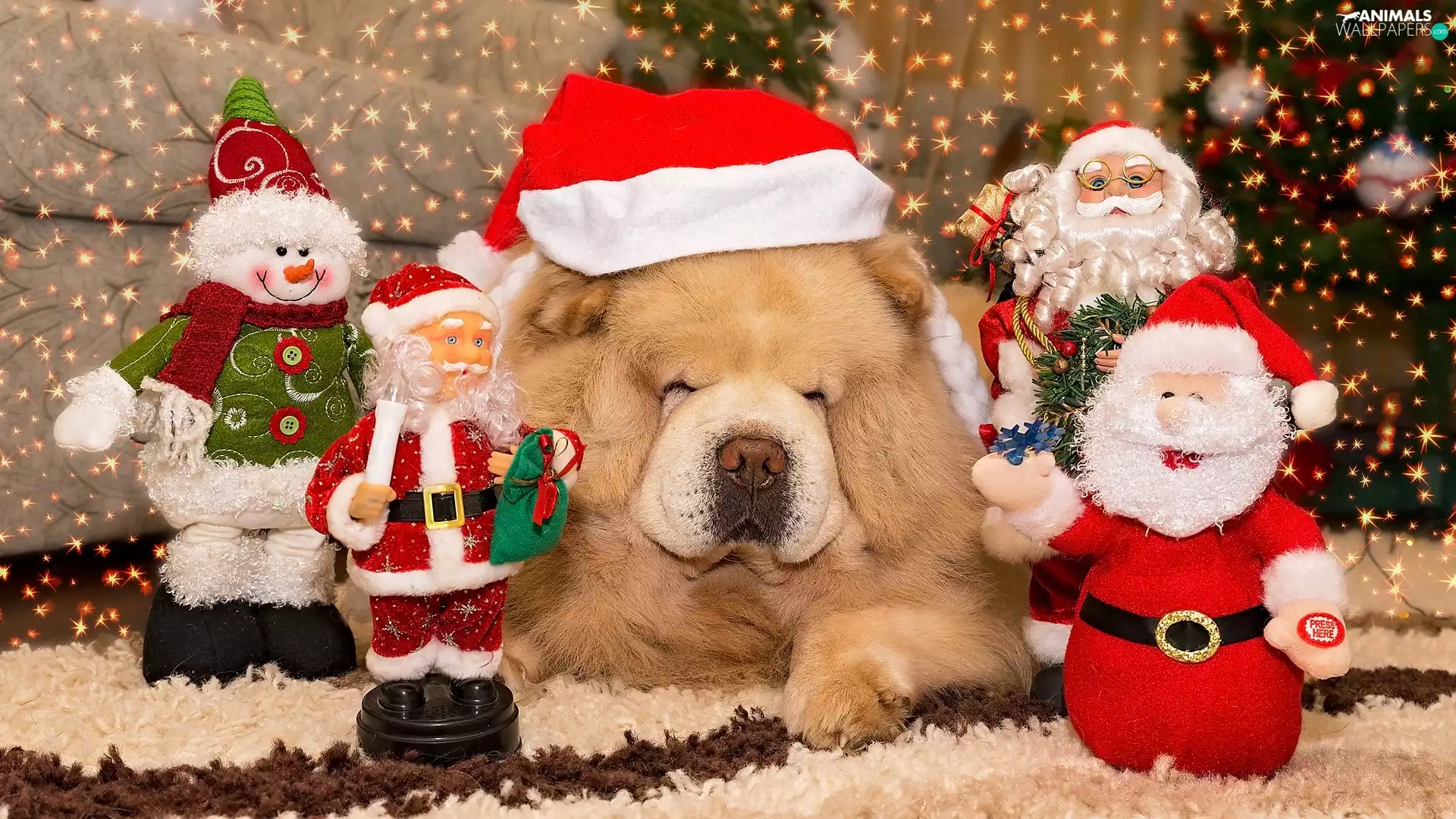 Nicholas, Chow chow, figures, Hat, dog, decor, Santas