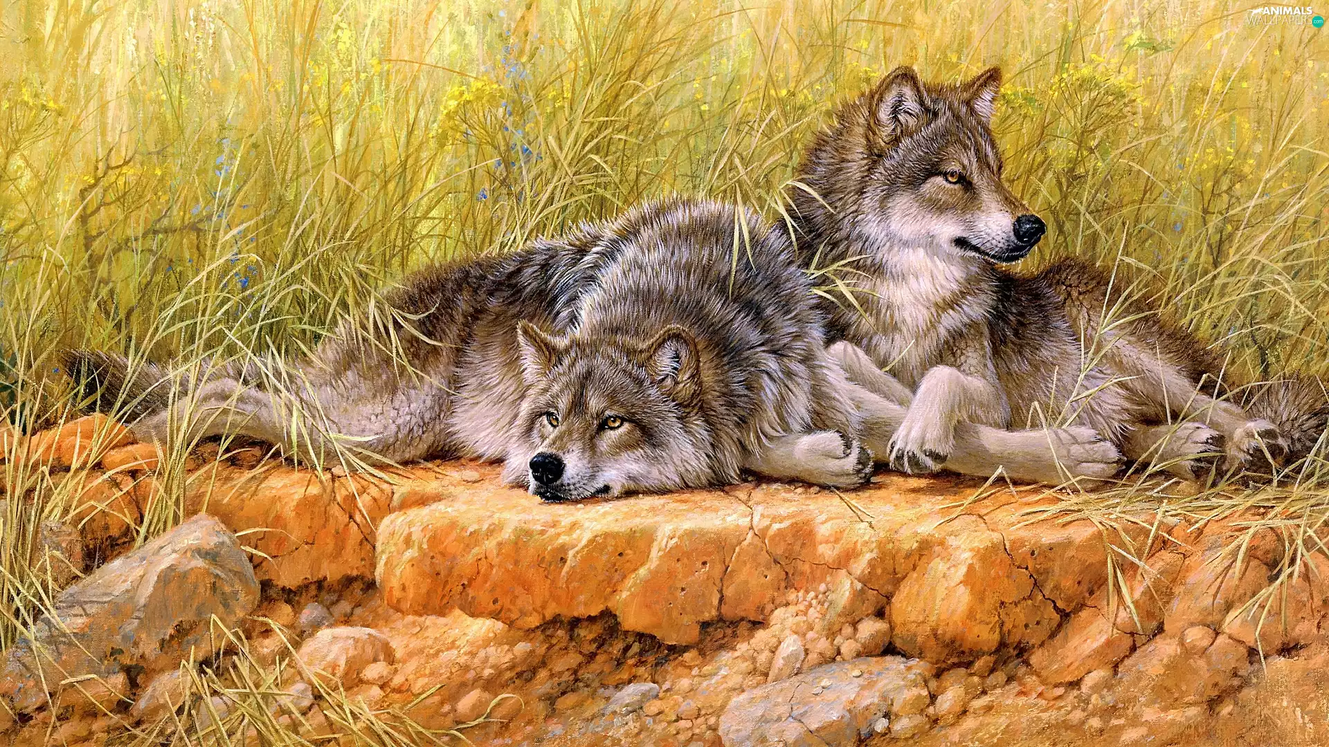 scarp, wolves, picture, Meadow, Two cars, painting, Larry Fanning