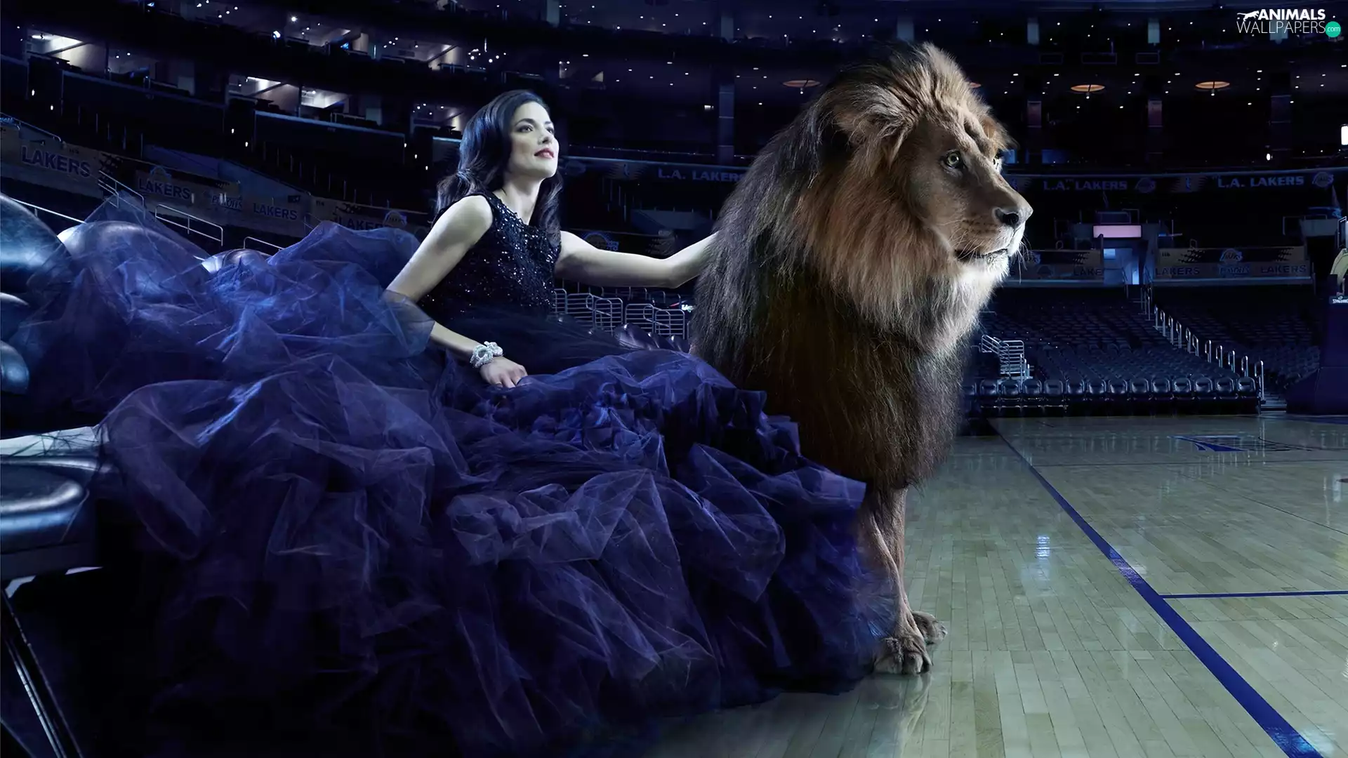 Women, Stool, Lion, scene