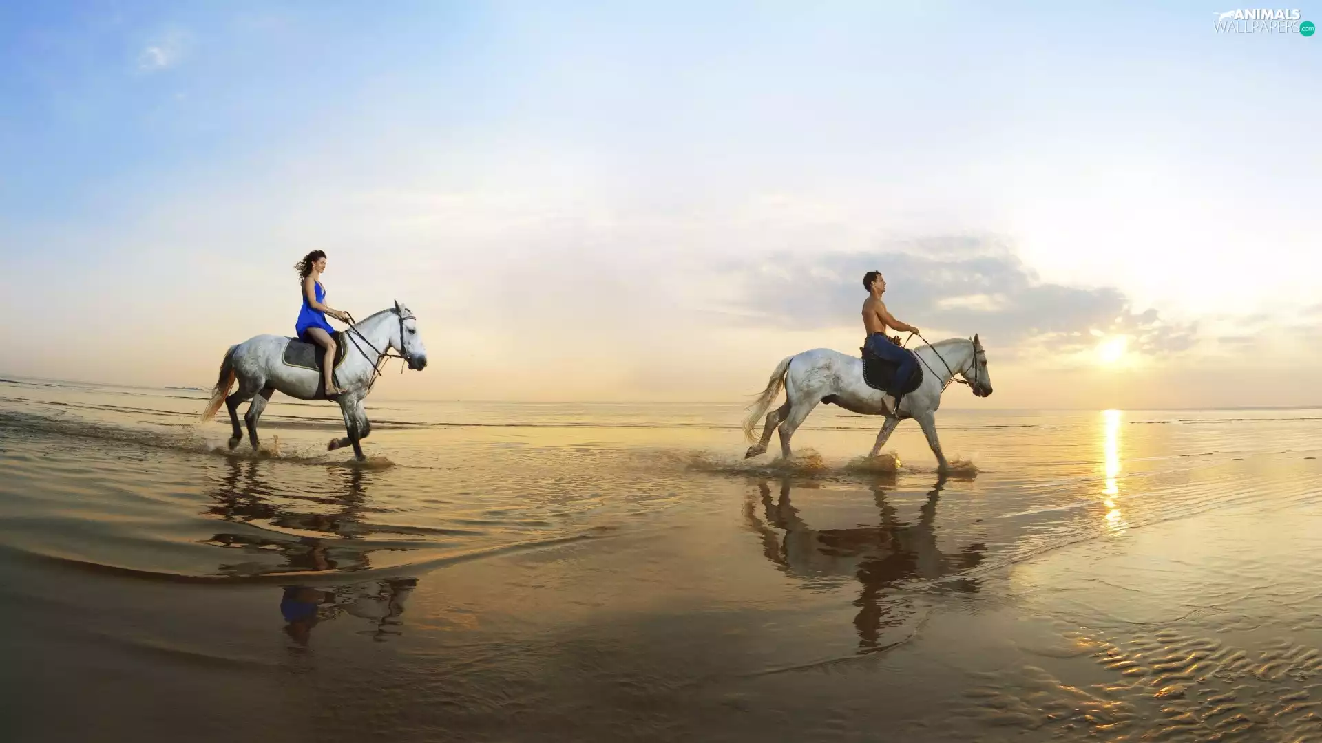 bloodstock, coast, riders, sea