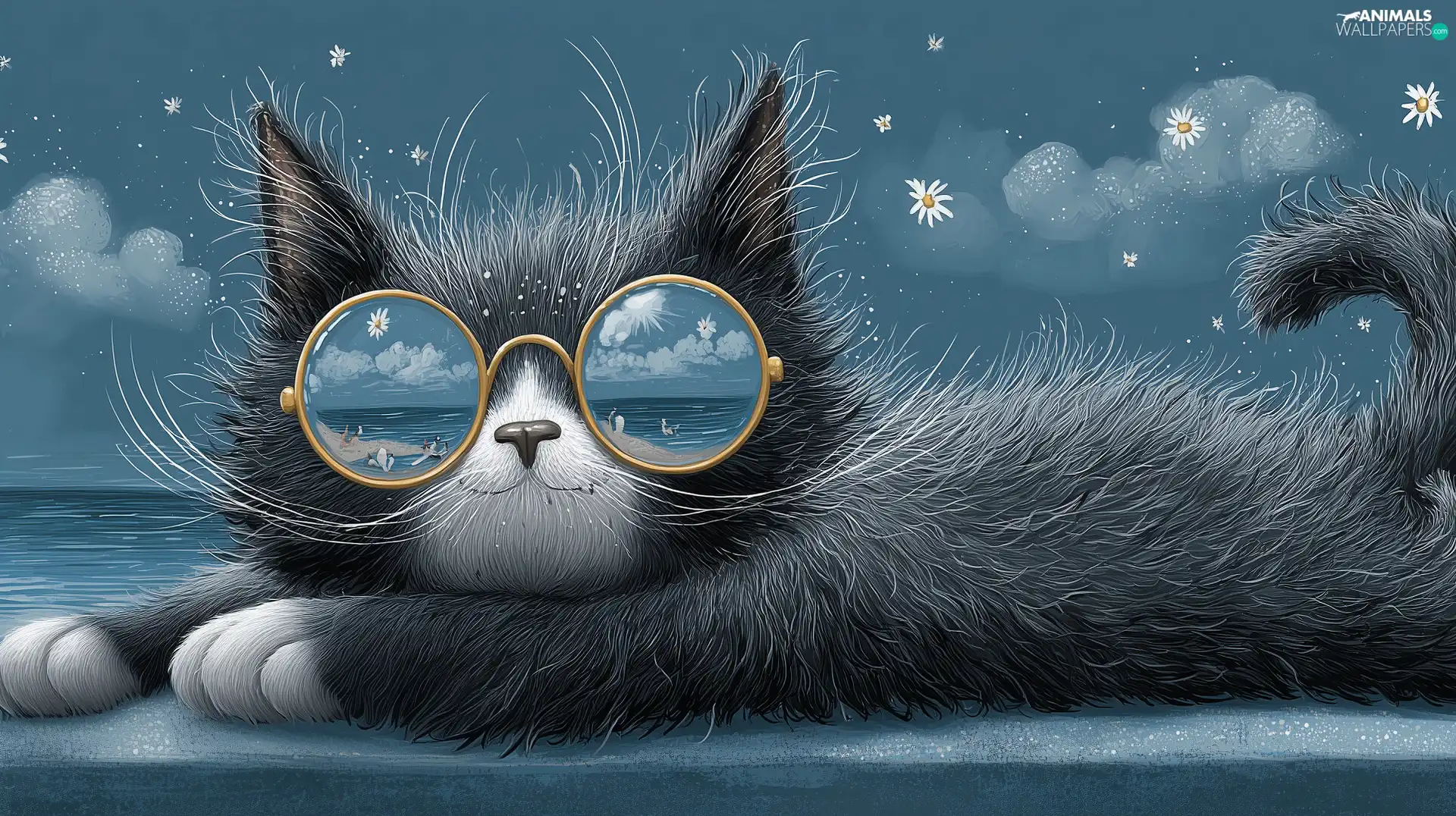 sea, cat, Glasses