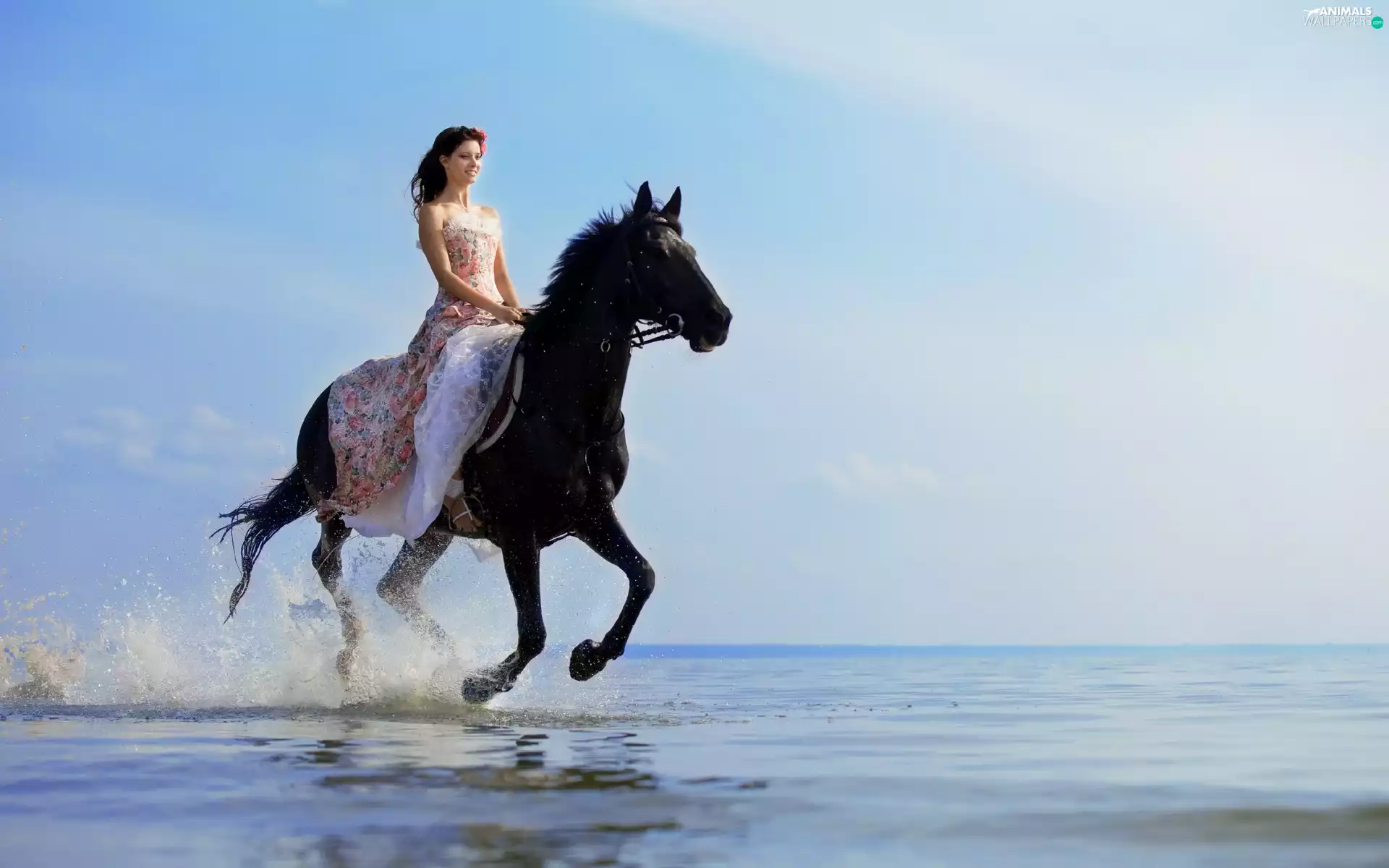 sea, Women, Horse