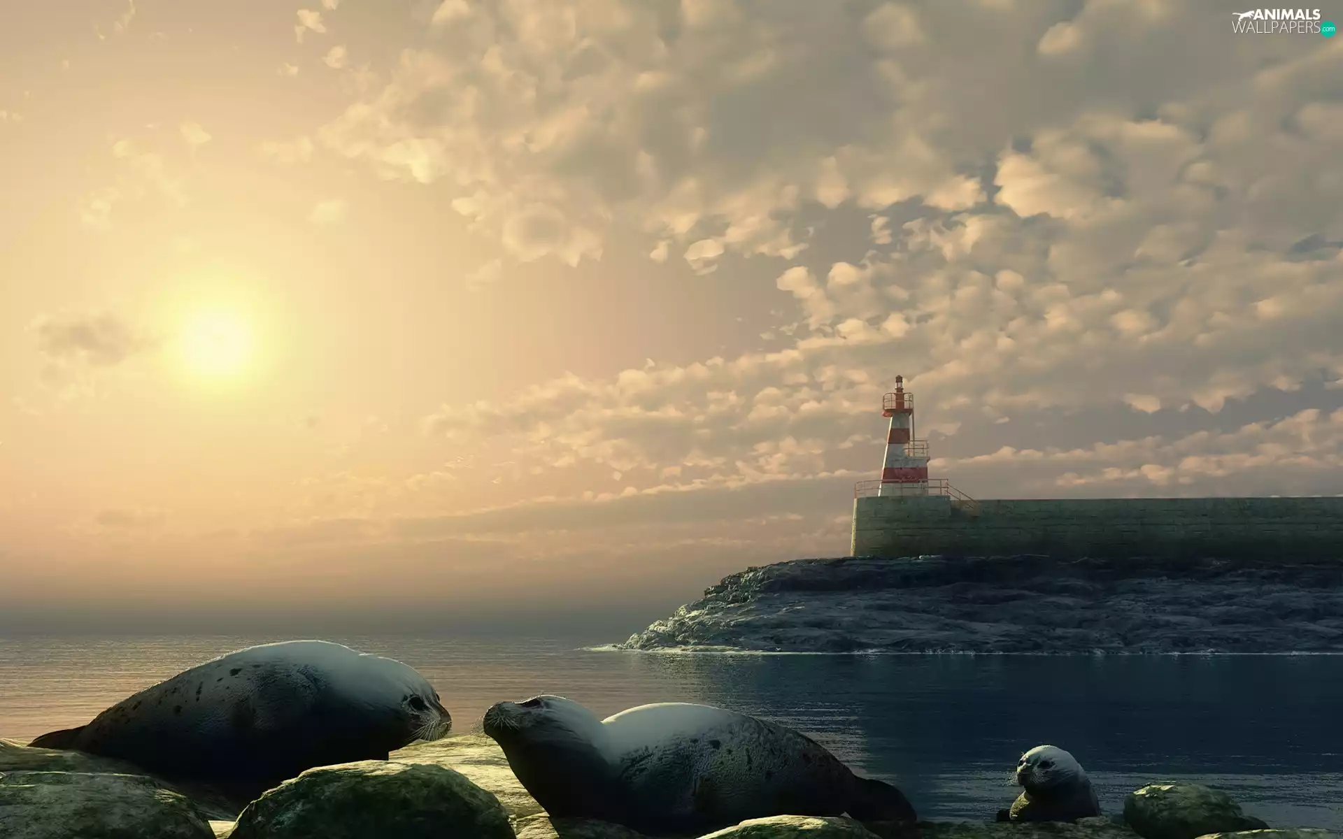 sun, seals, maritime, west, Lighthouse