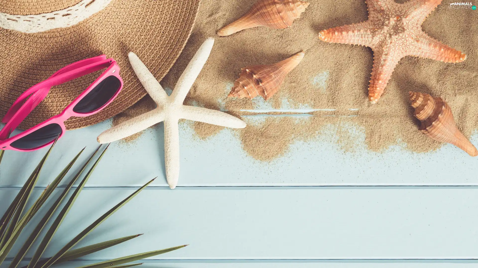 starfish, Glasses, composition, Shells, Hat, Sand, holiday