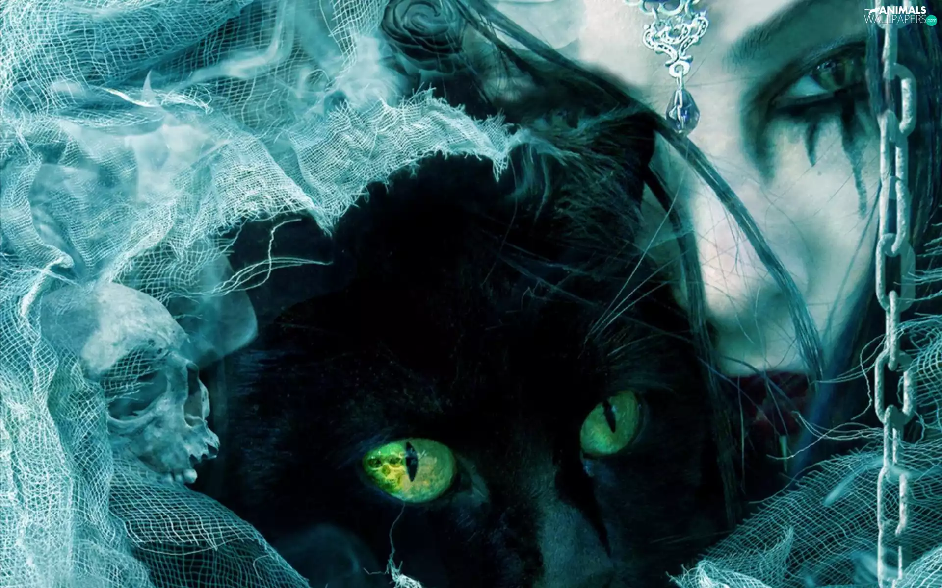 skull, cat, Women