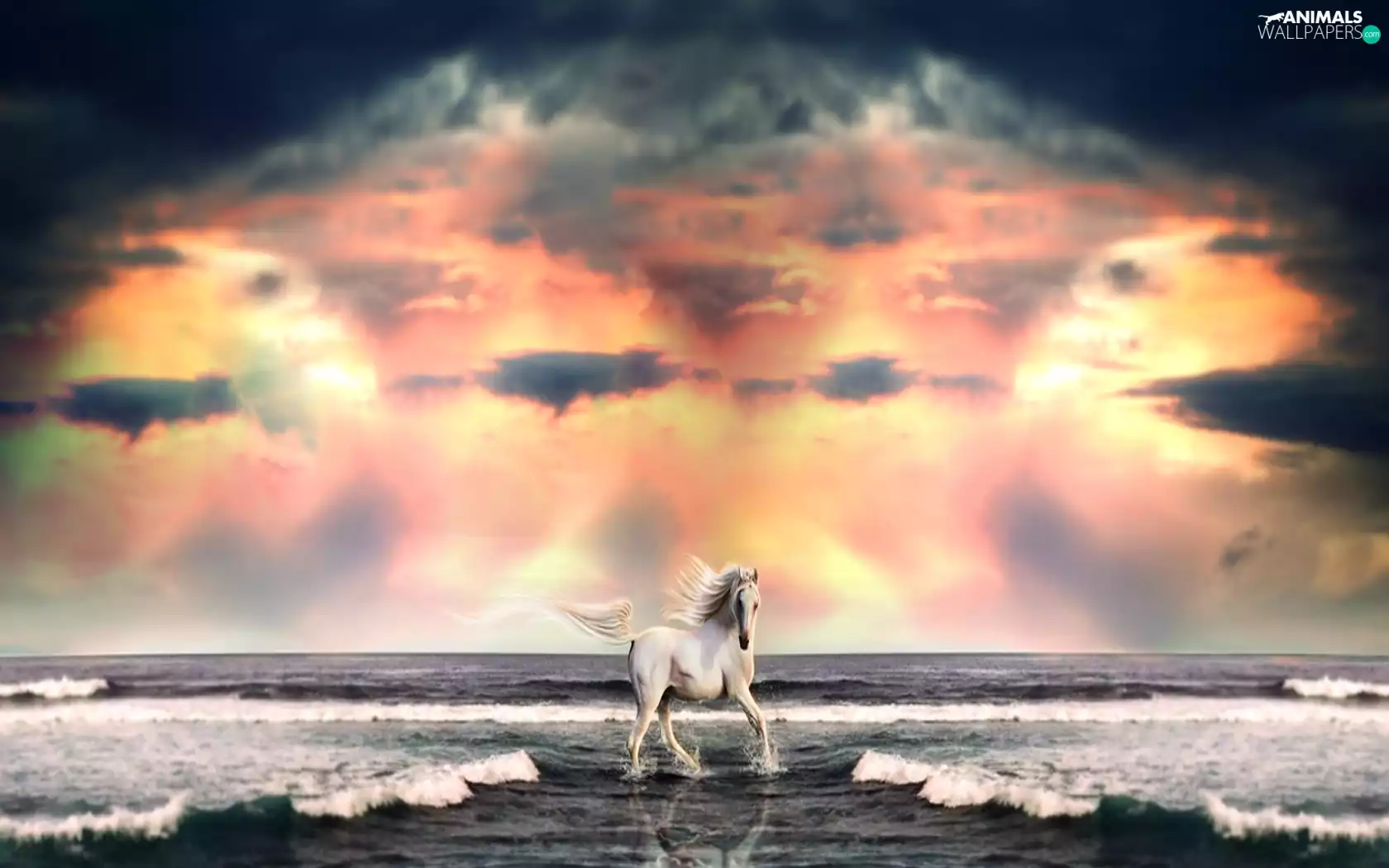 color, Sky, Beaches, Horse, sea