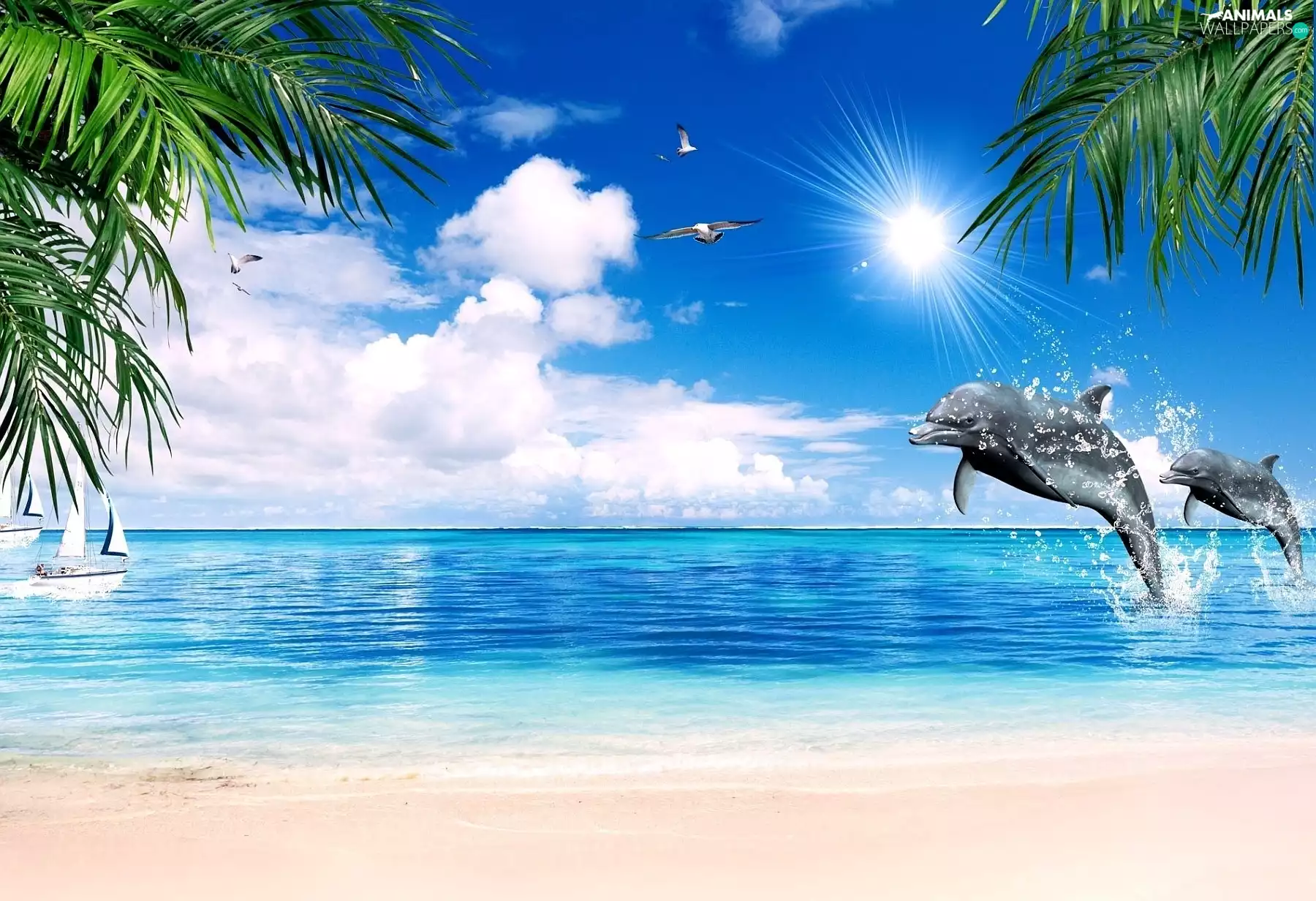 blue, sea, dolphins, Sky