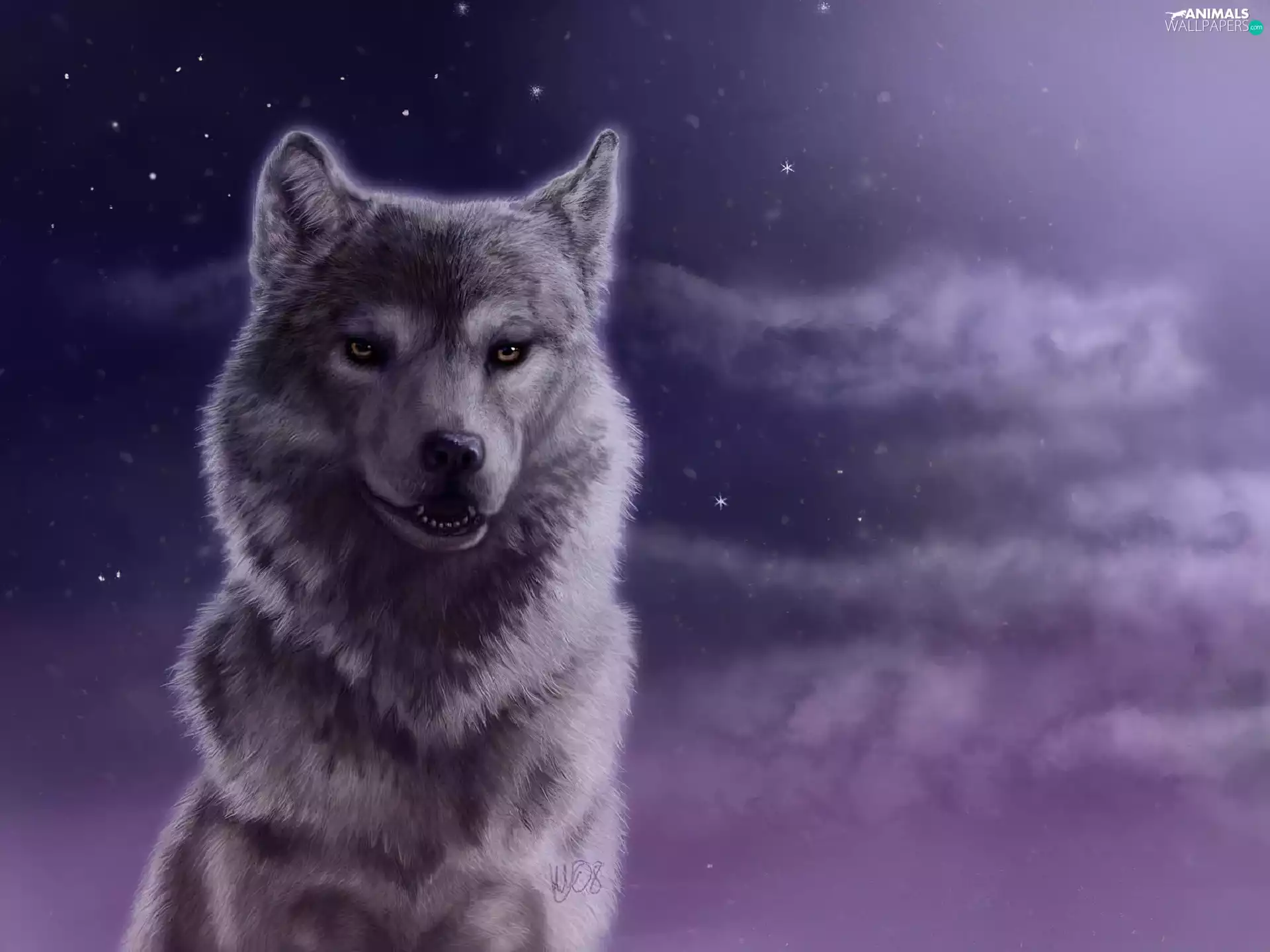 Sky, Wolf, Starry