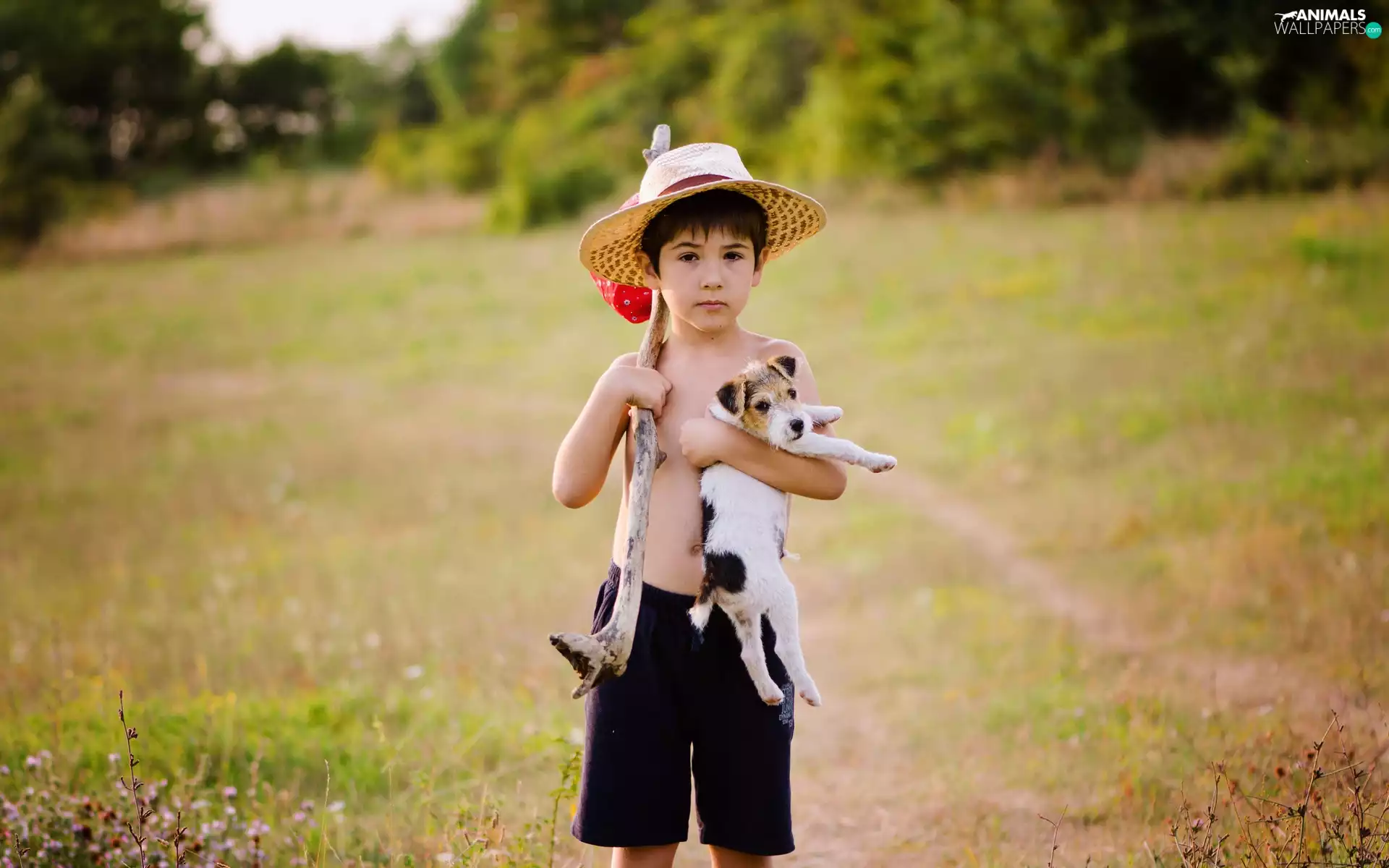 car in the meadow, forest, boy, puppie, small
