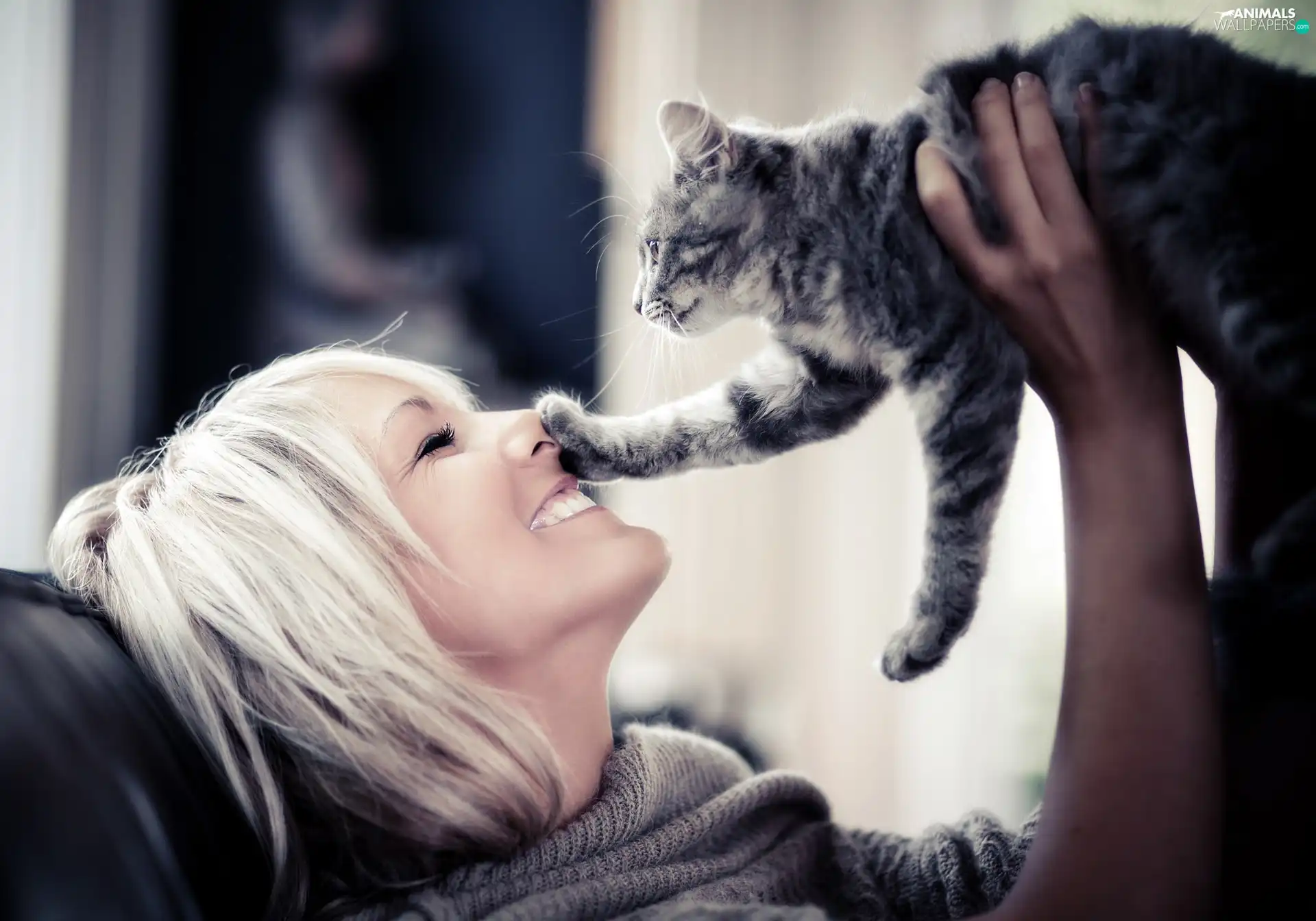 Smile, humor, Blonde, cat, Women