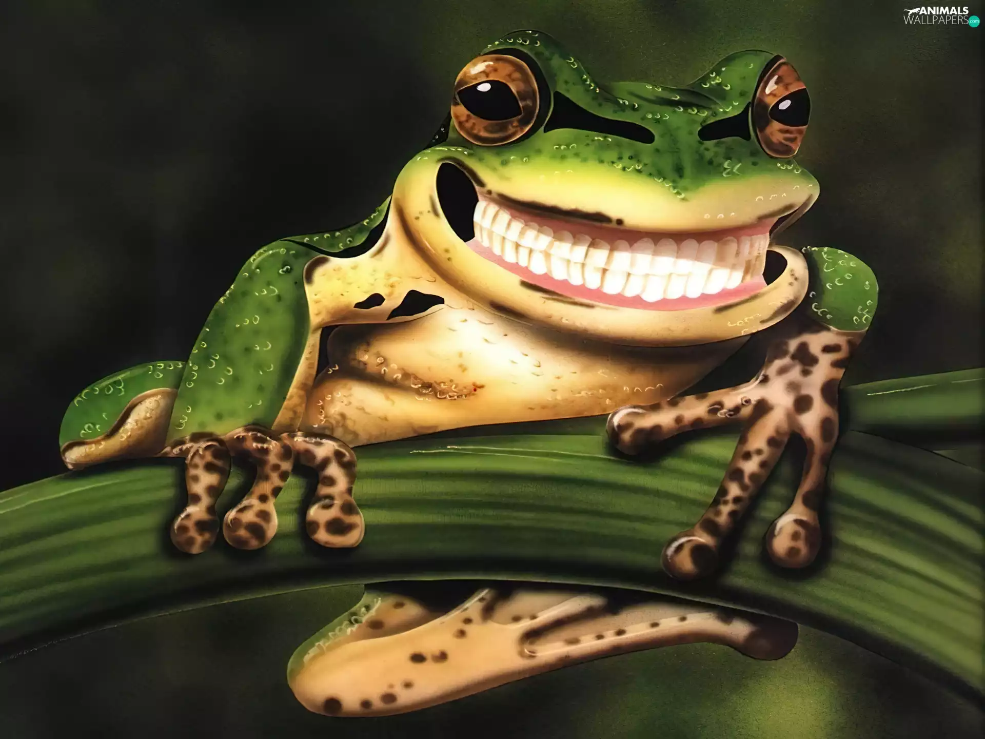 Teeth, strange frog, Smile