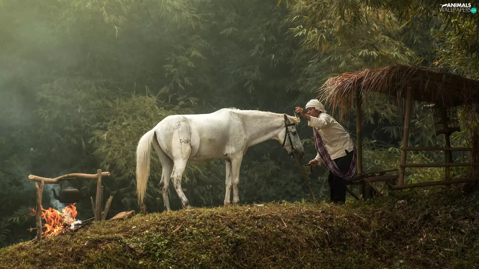 White, fire, Women, smoke, forest, Horse, hut