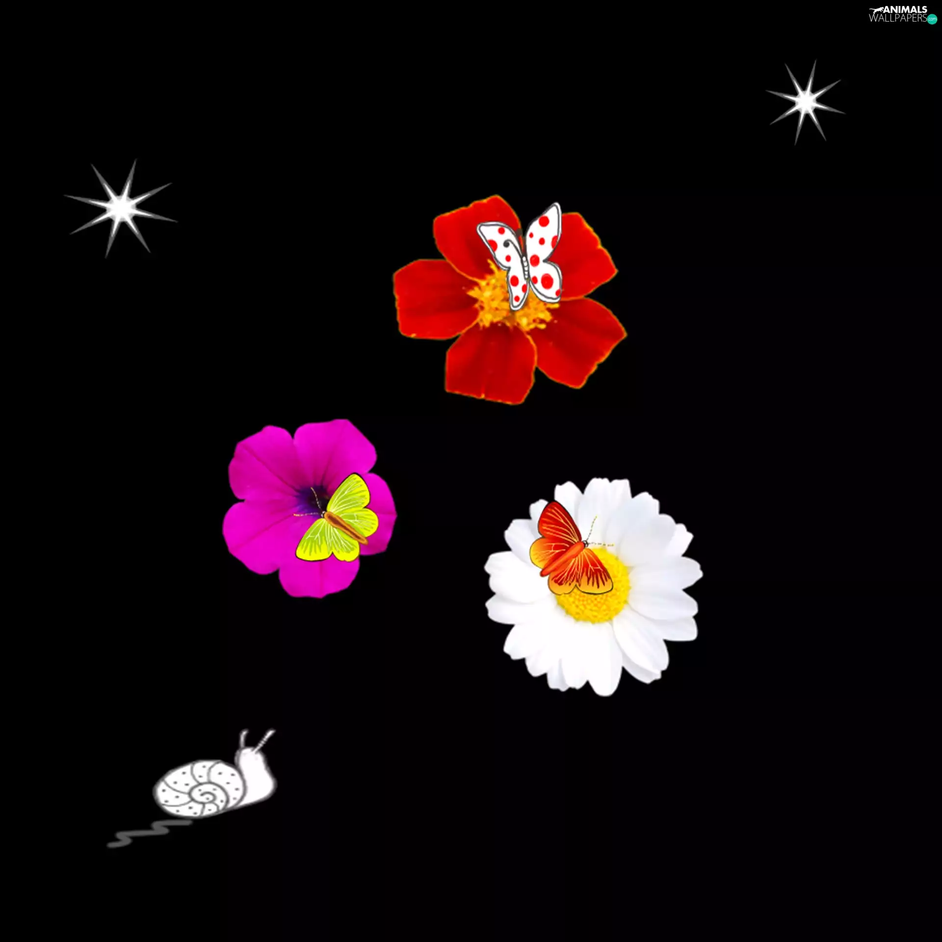 snail, flowers, butterfly