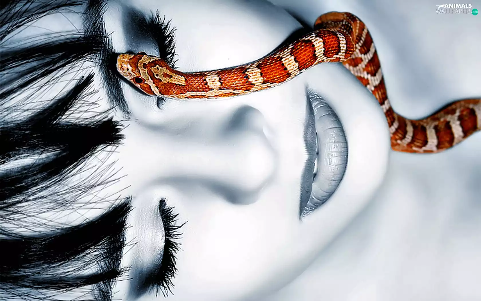 Snake, woman, face