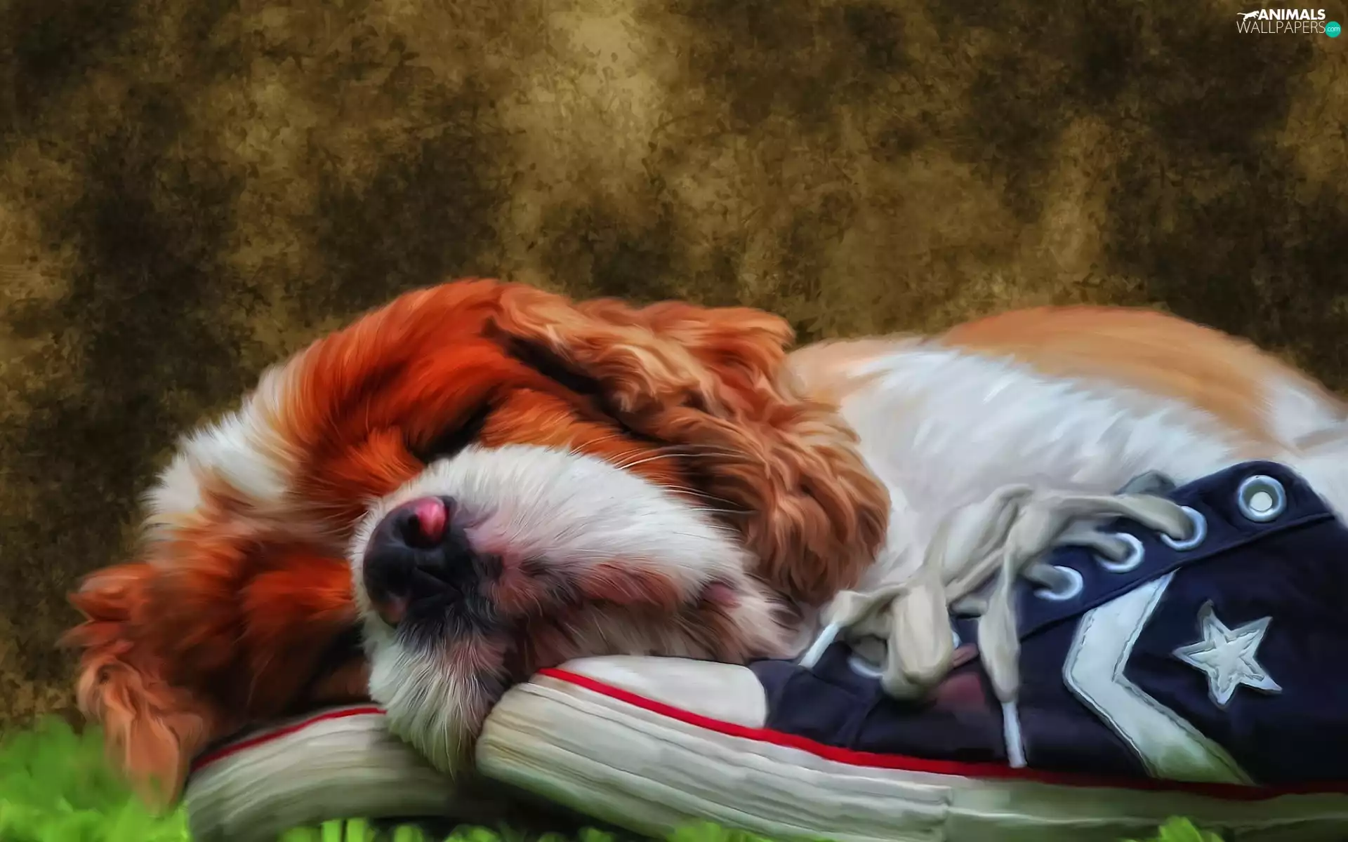 sneakers, dog, dream