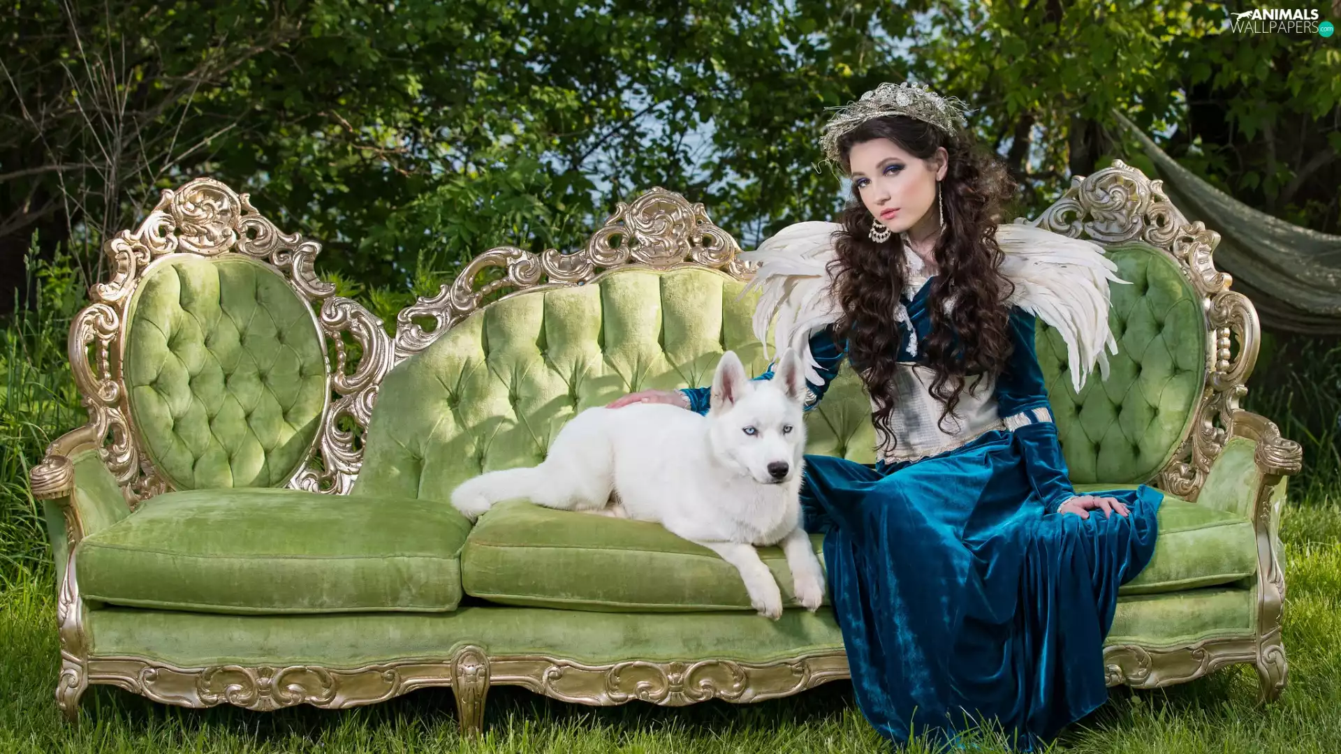 dress, Green, dog, sofa, White, Blue, Women, Sofa
