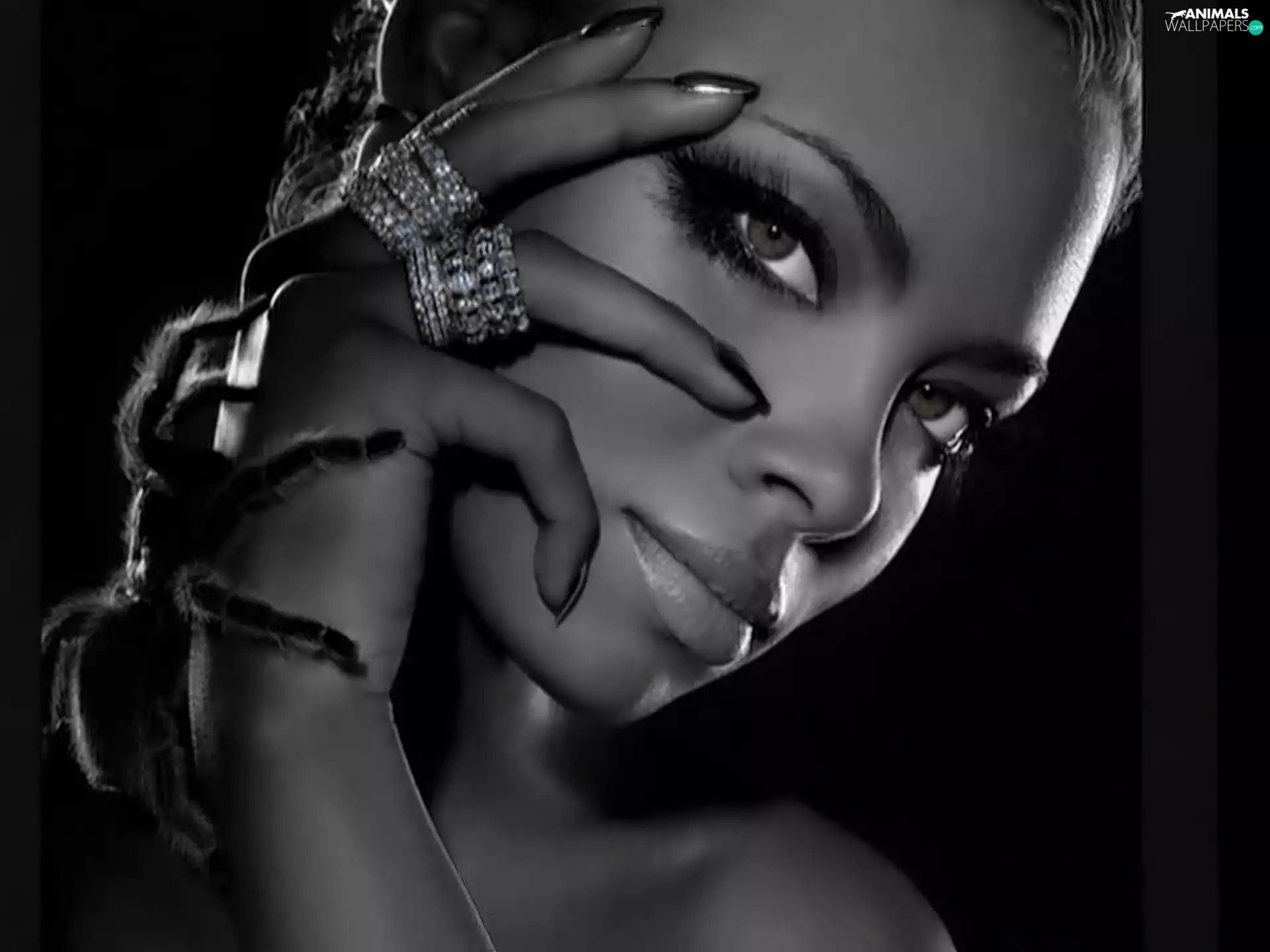 Spider, Women, jewellery