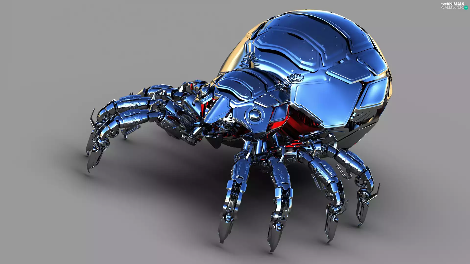 Spider, Robotics