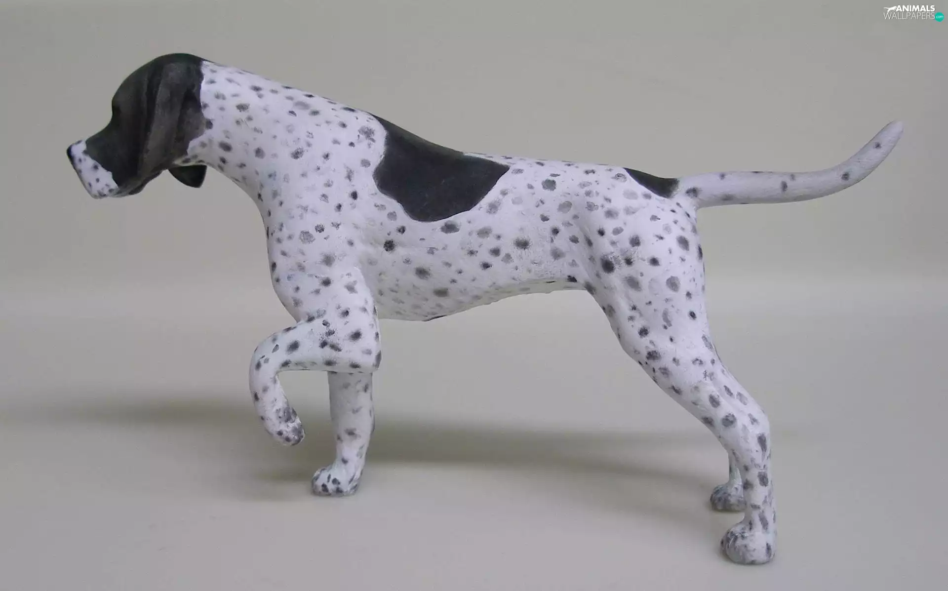 Spots, Pointer, Black