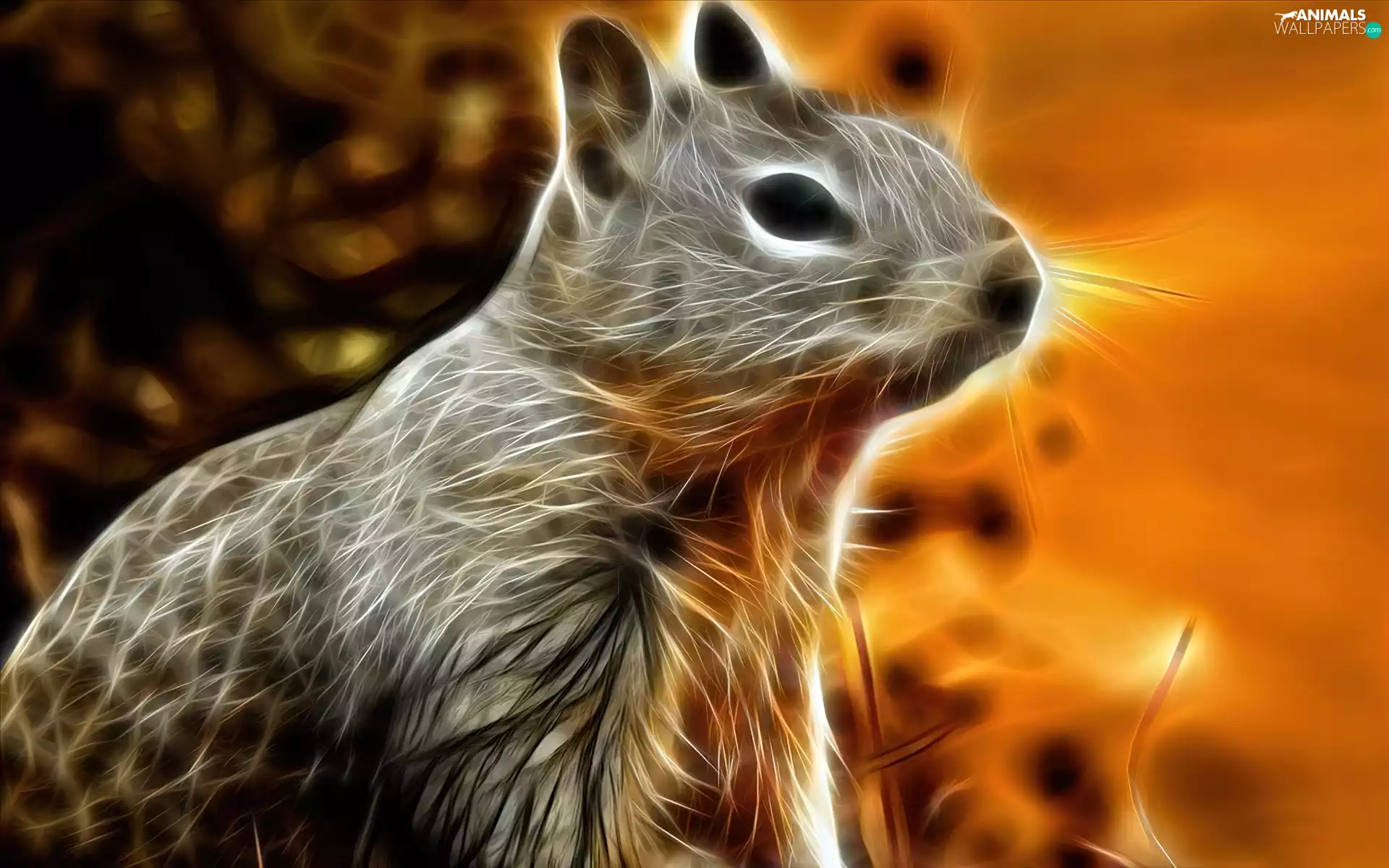 squirrel, 3D