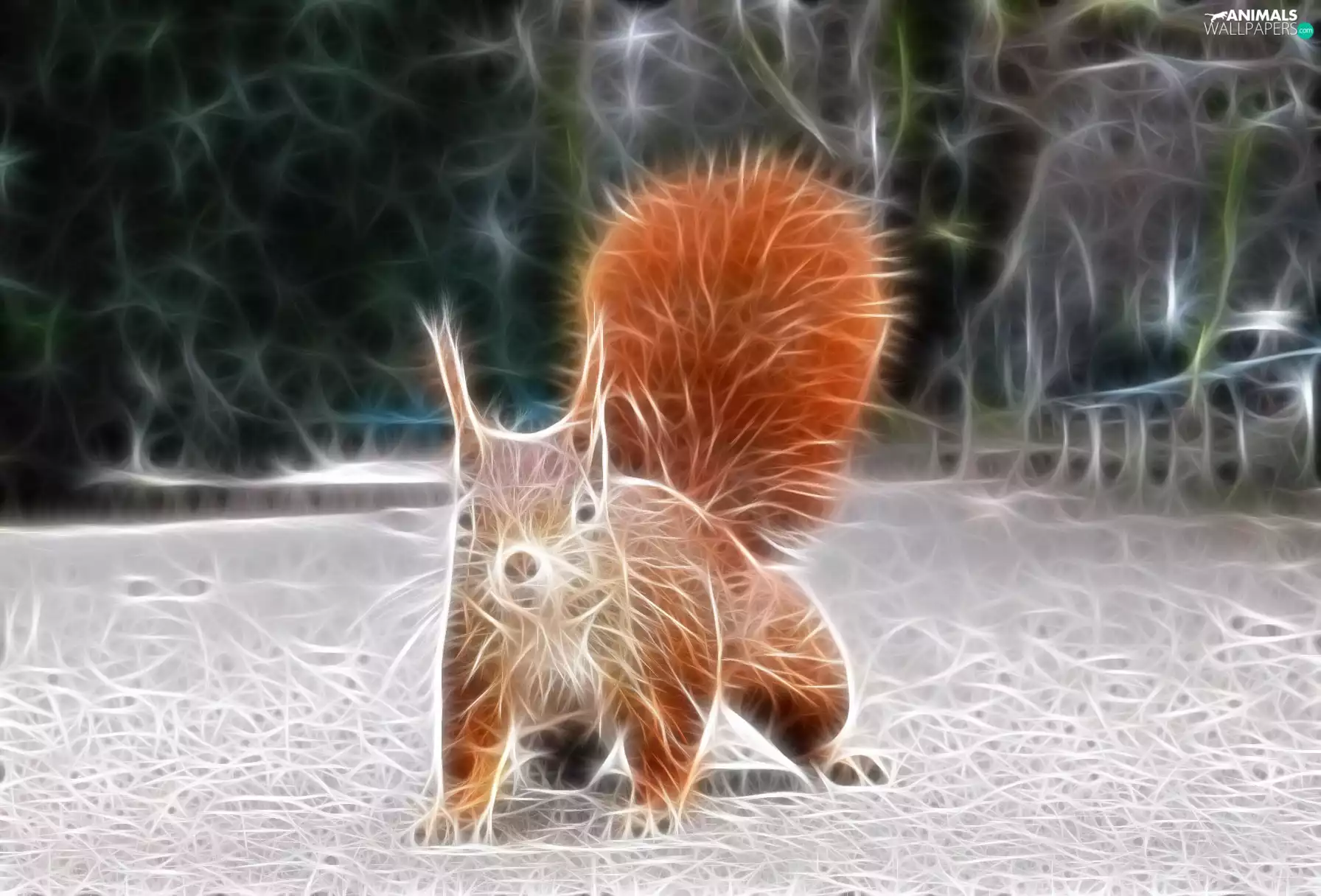 squirrel, Vectorial