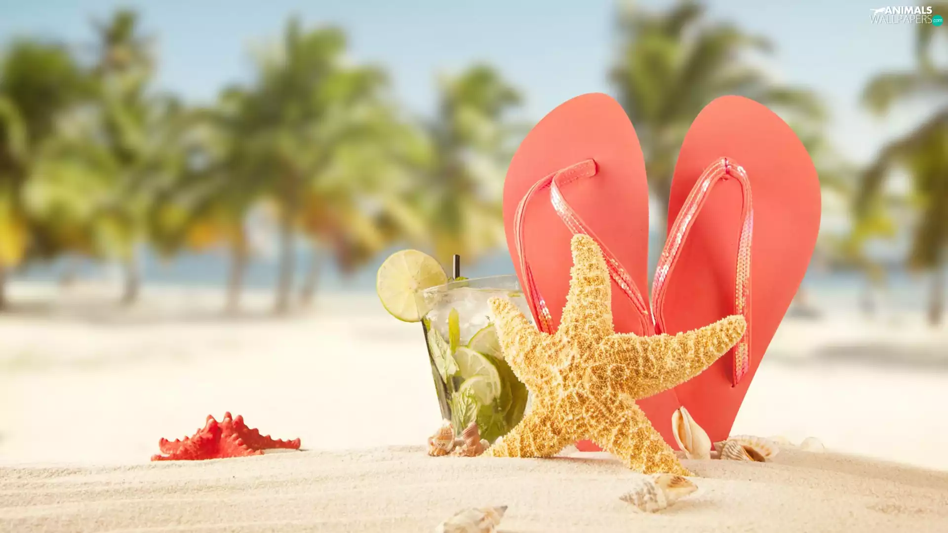 Beaches, summer, Drink, starfish, flip, holiday