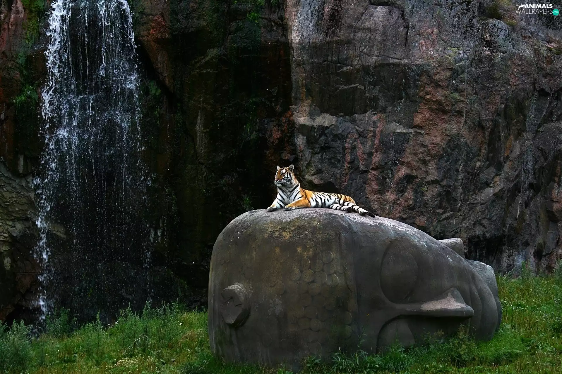 waterfall, Statue monument, tiger, rocks