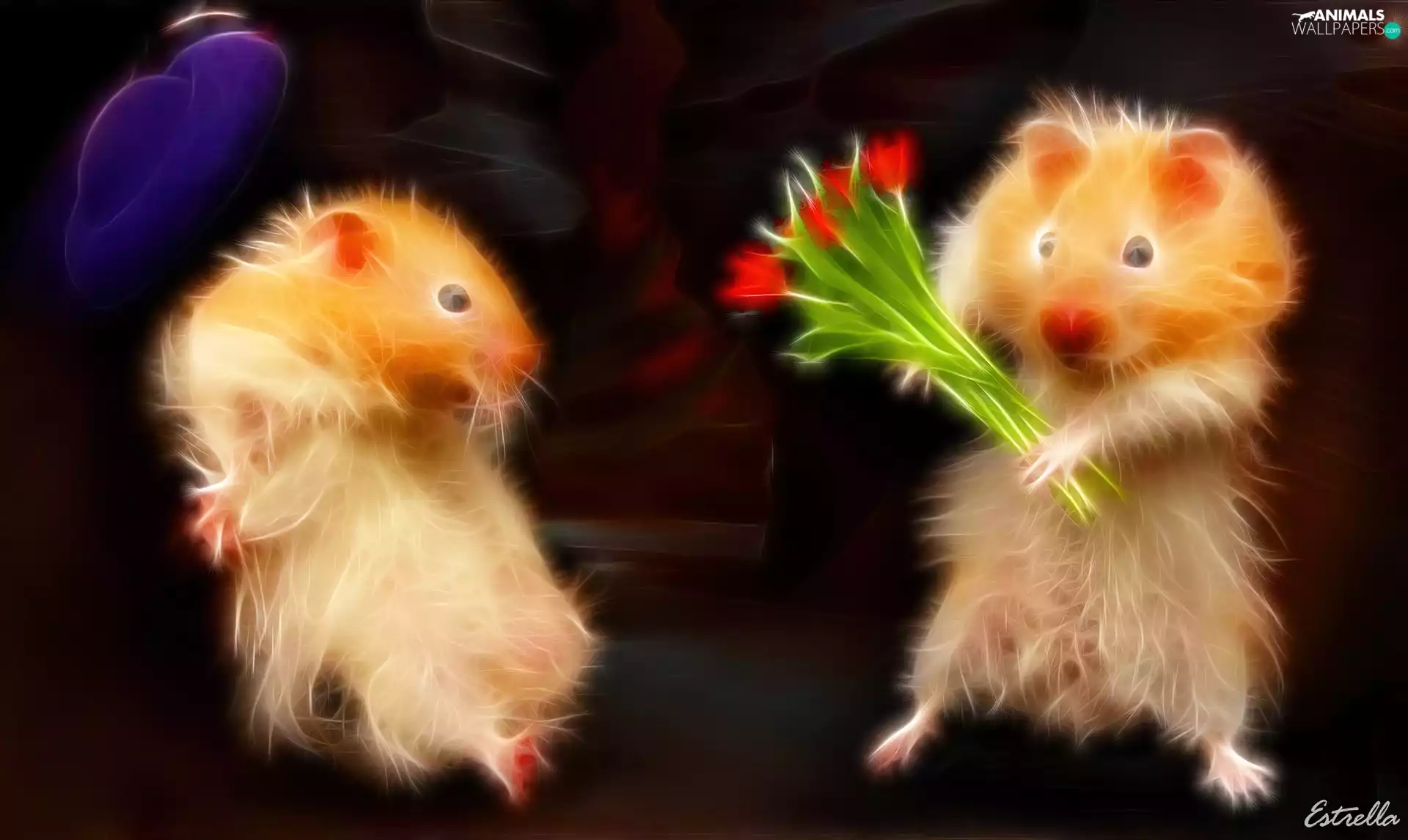 bouquet, 3D, Hamsters, Steam, Two cars