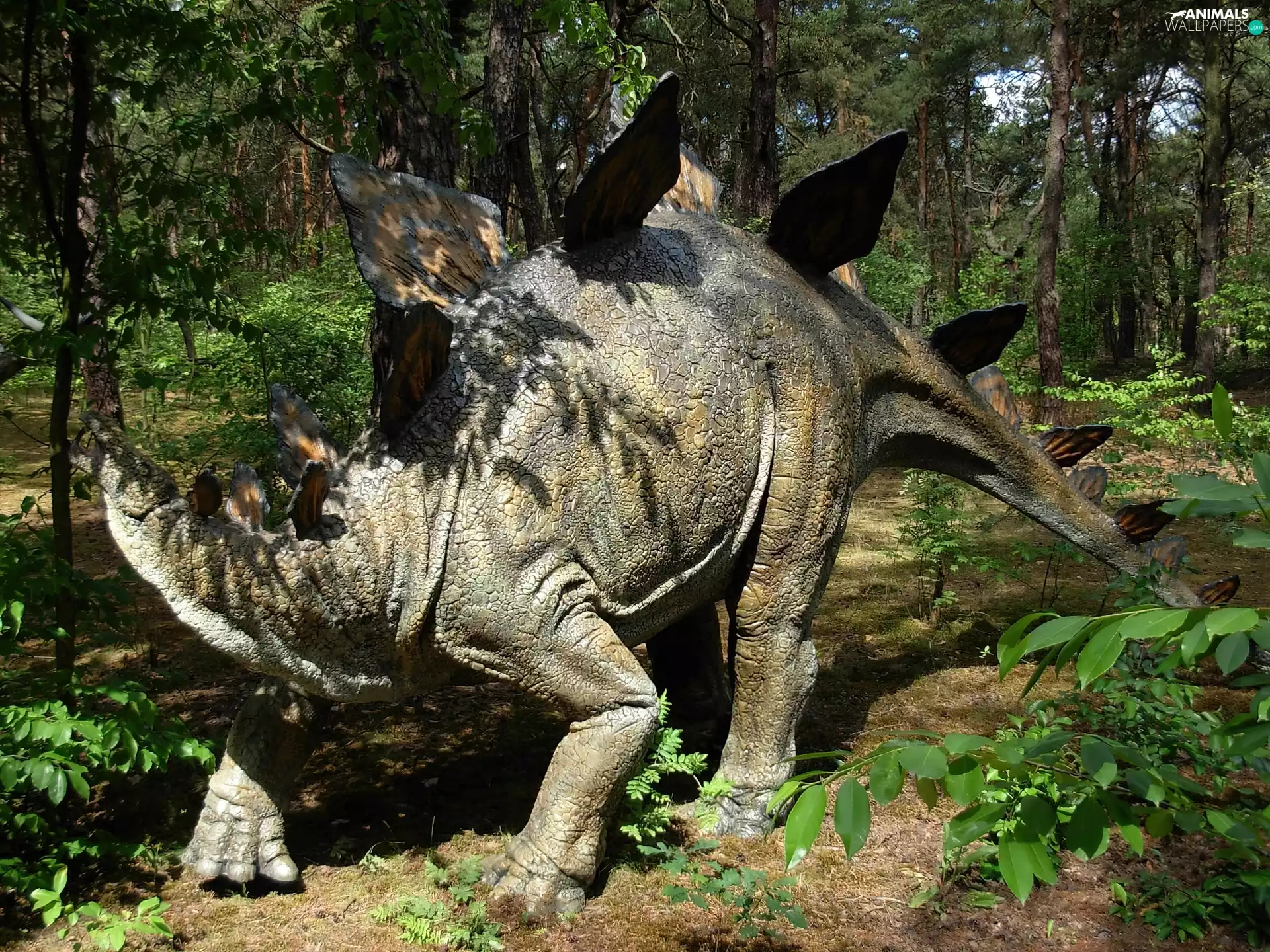 Stegosaurus