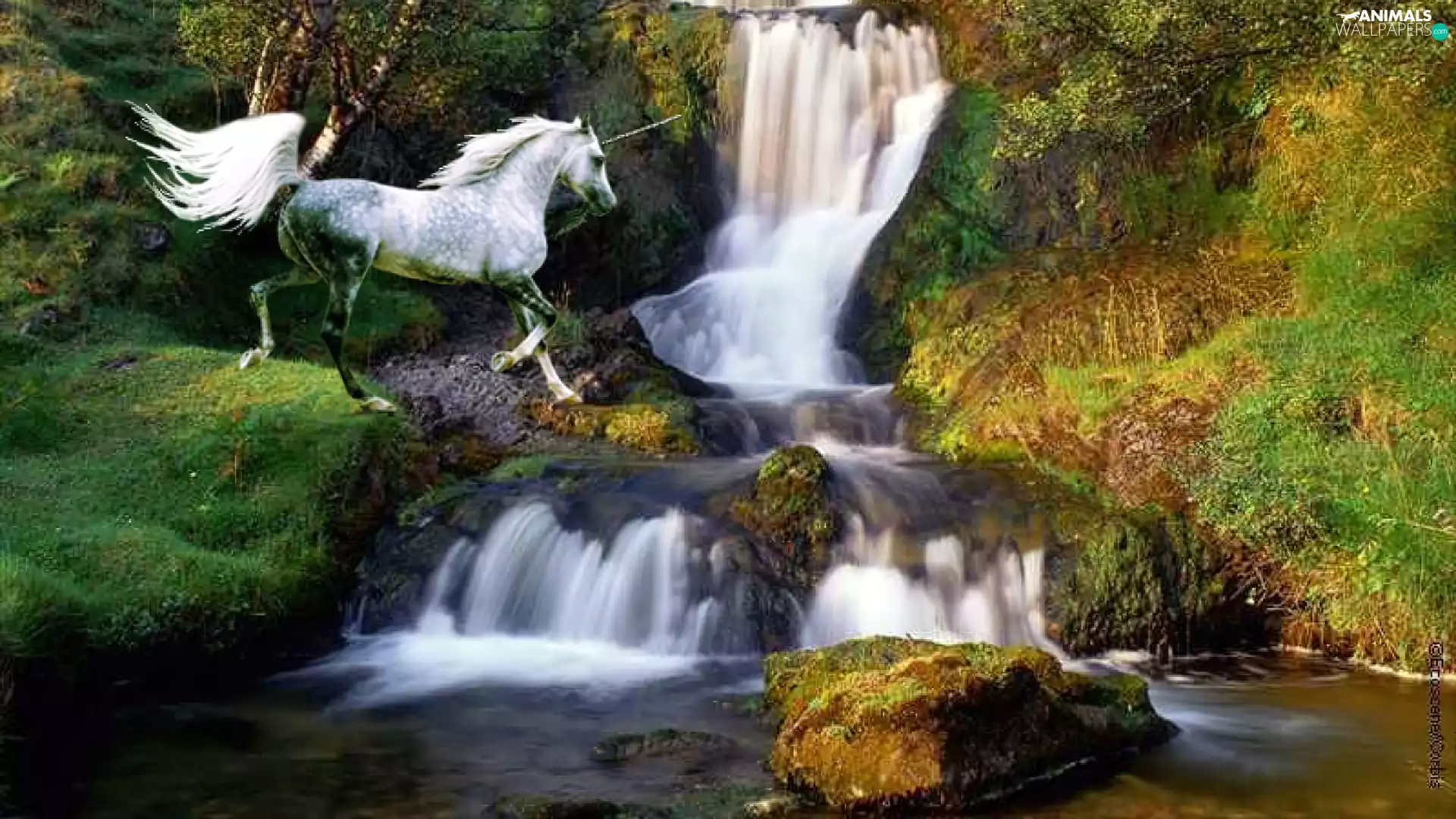 Stones, Horse, waterfall