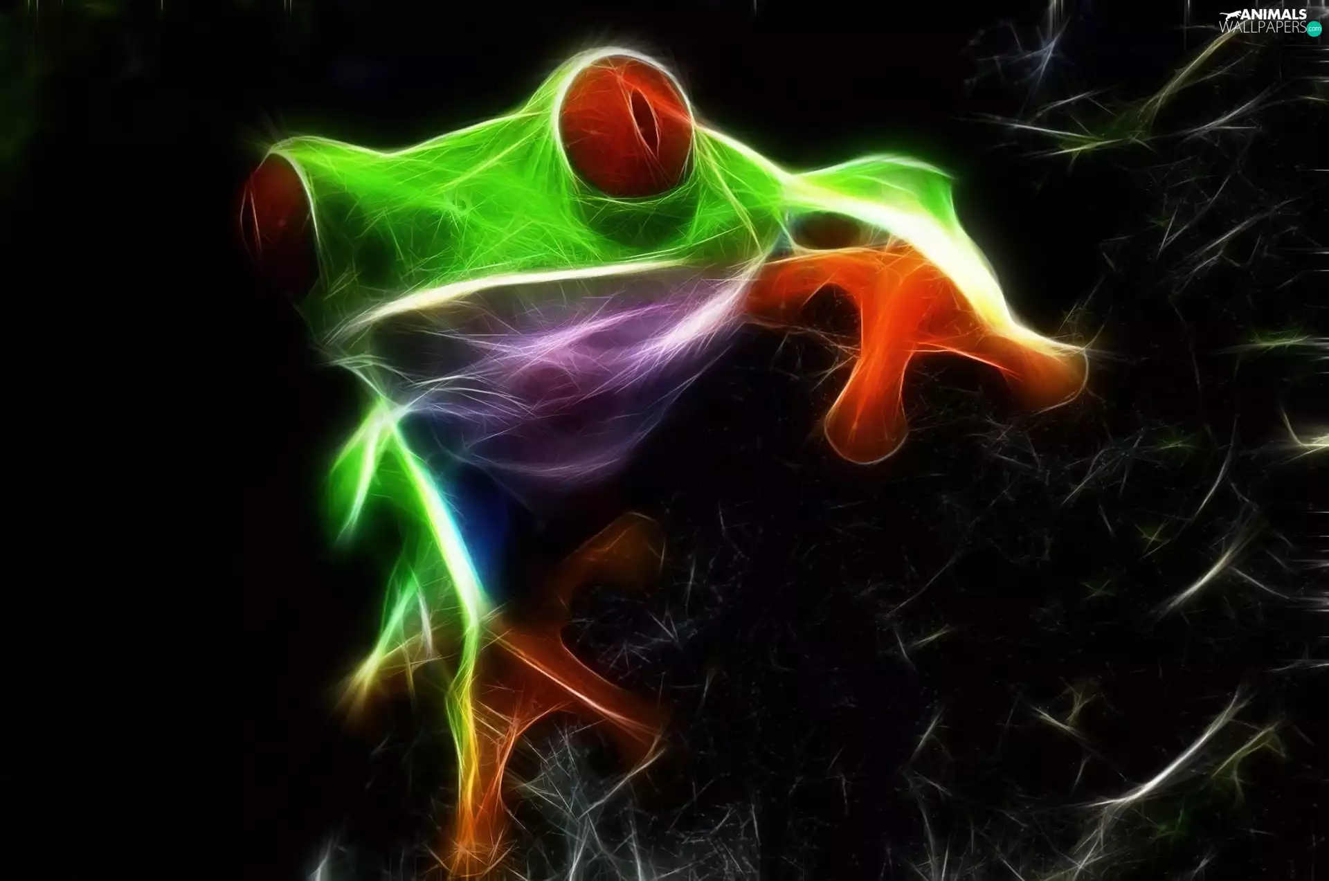 strange frog, Fractalius