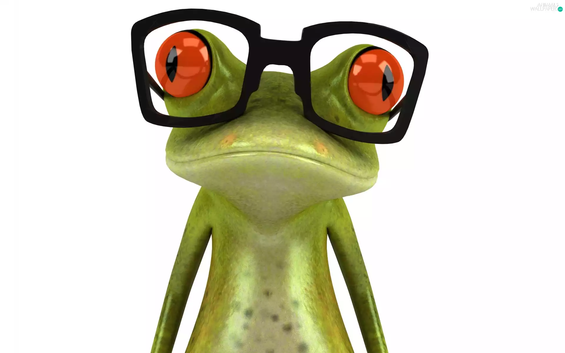 strange frog, Glasses