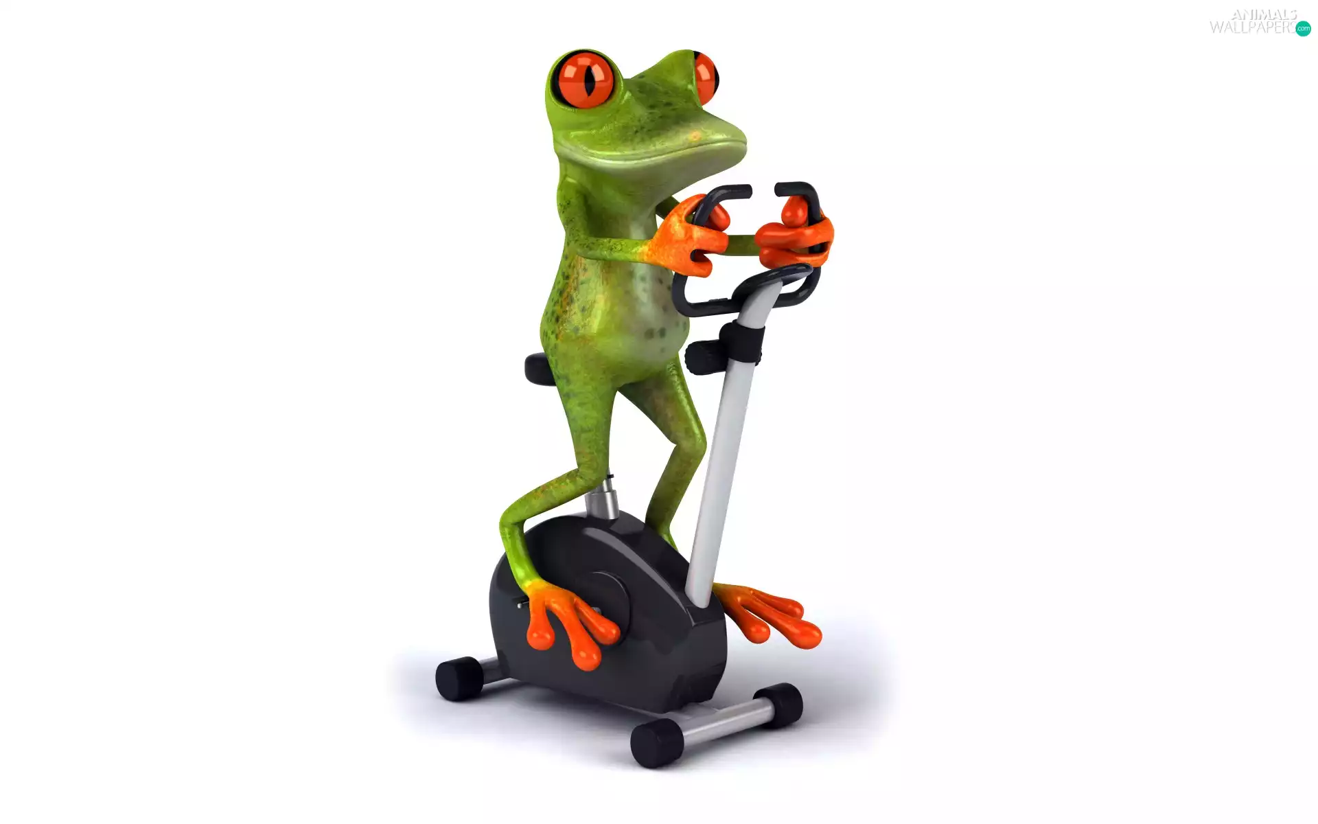 strange frog, gymnastics