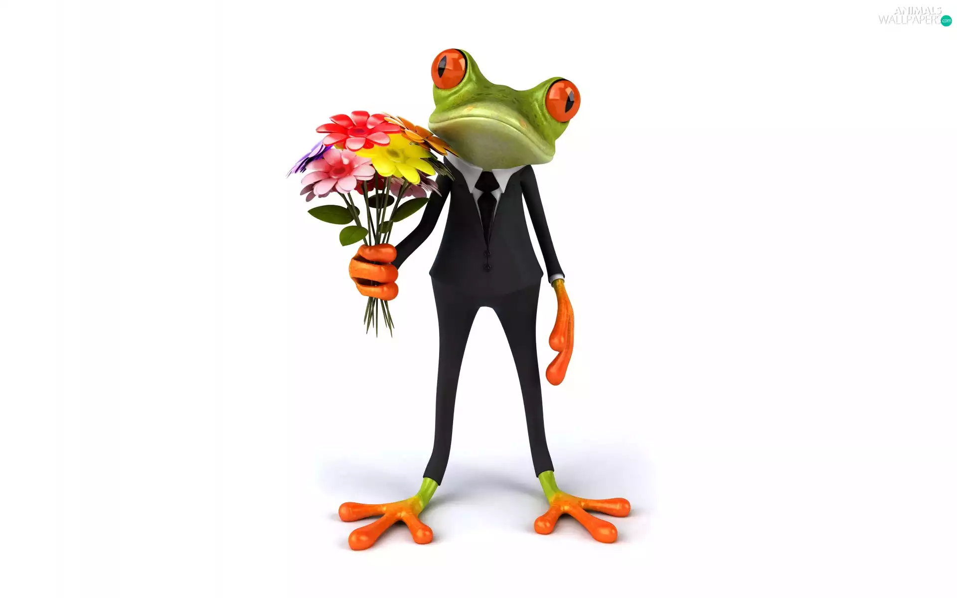 Flowers, bouquet, Funny, suite, strange frog
