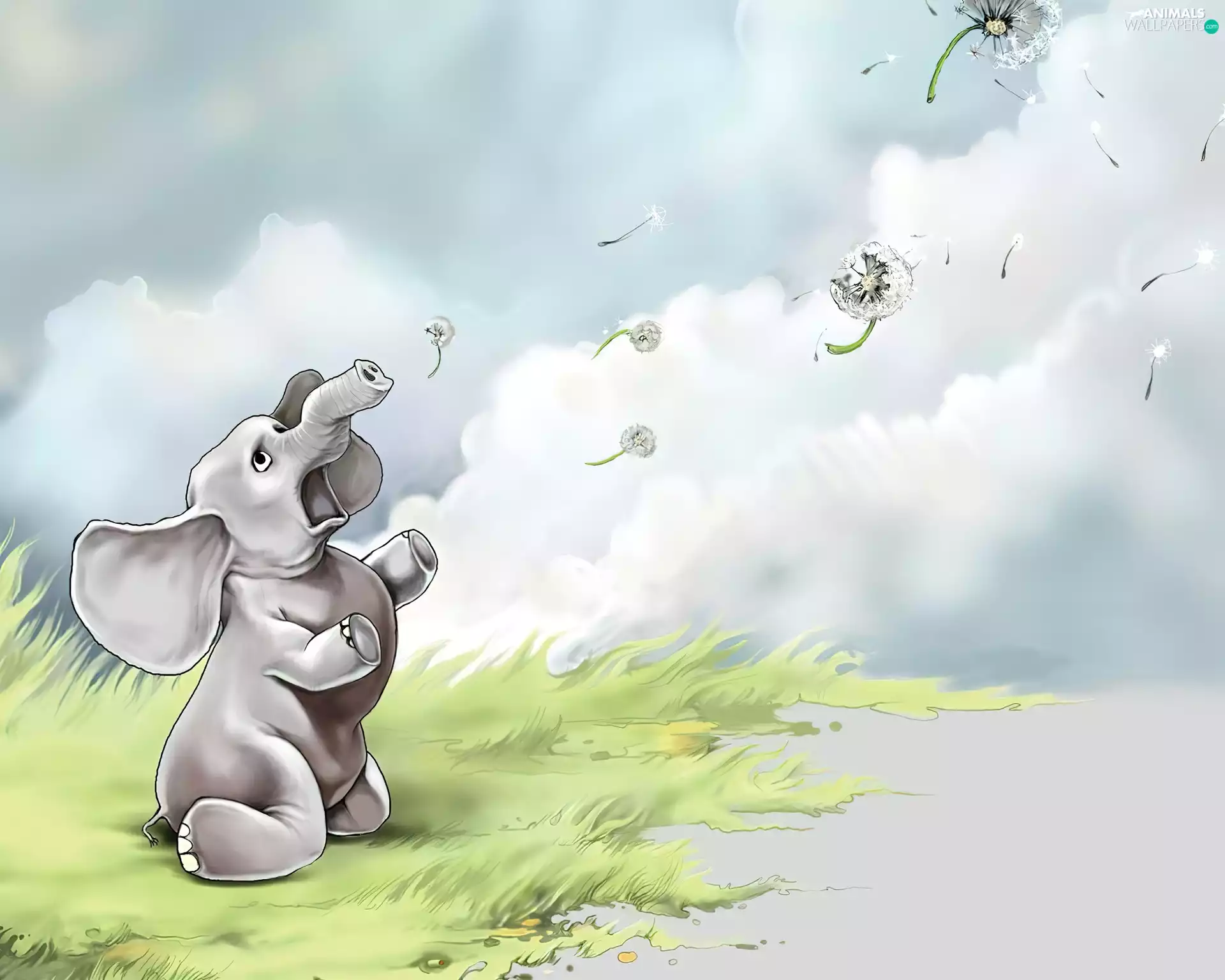 Baba, summer, grass, Sky, Elephant