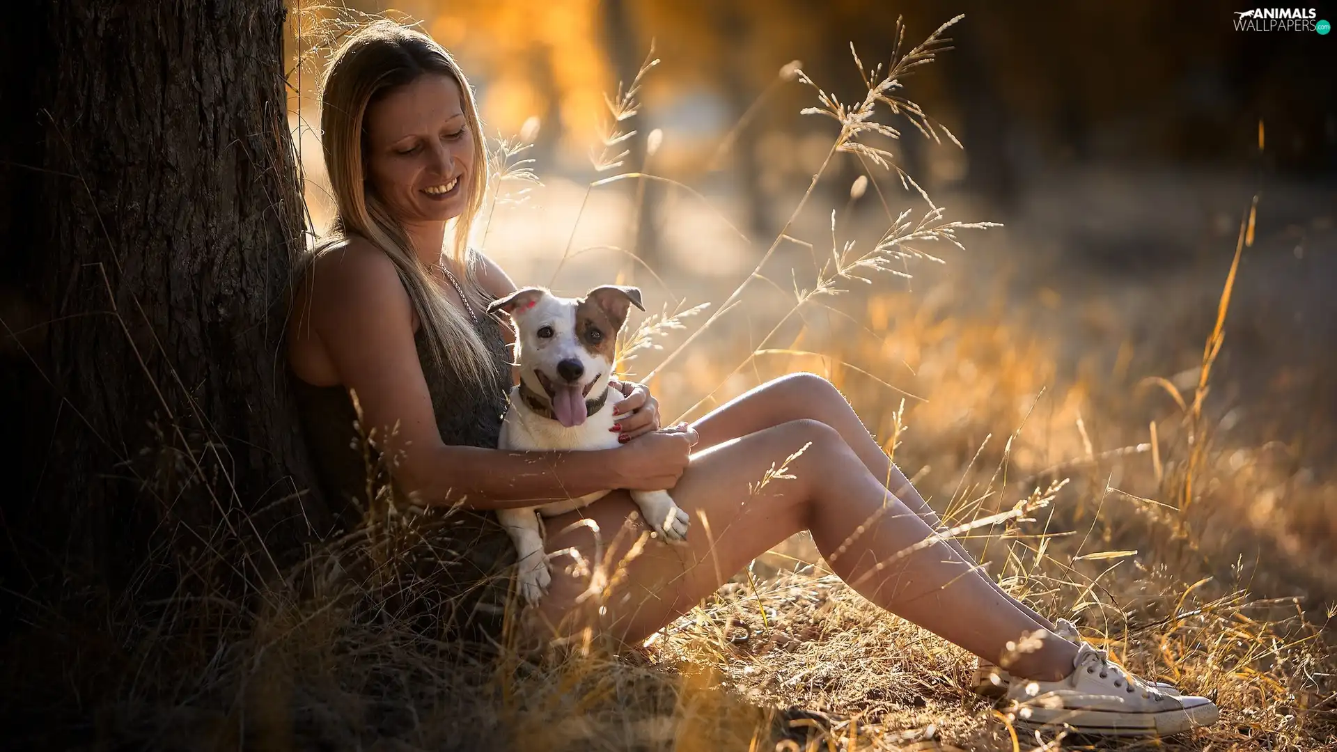 grass, sun, dog, trees, Women