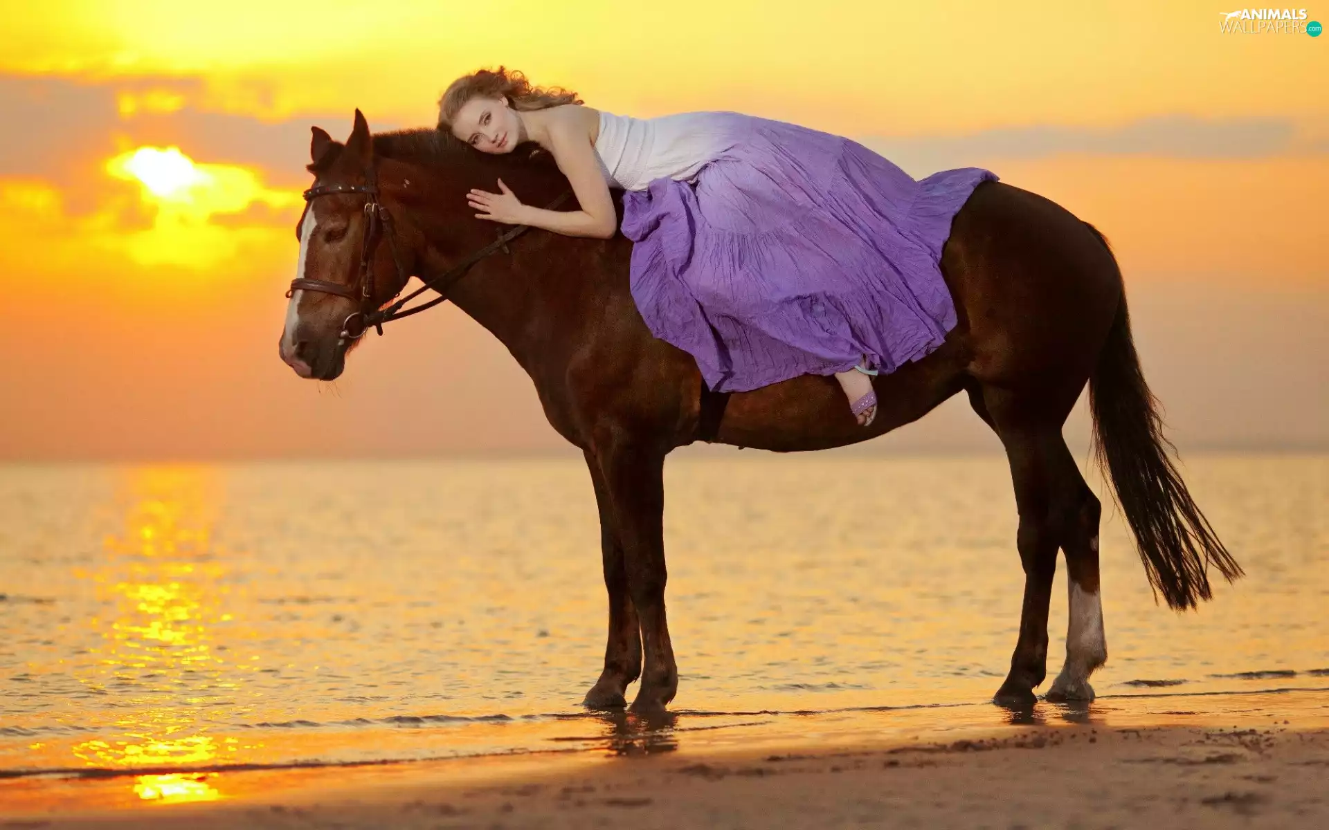 Beaches, Women, rays, sun, sea, Horse