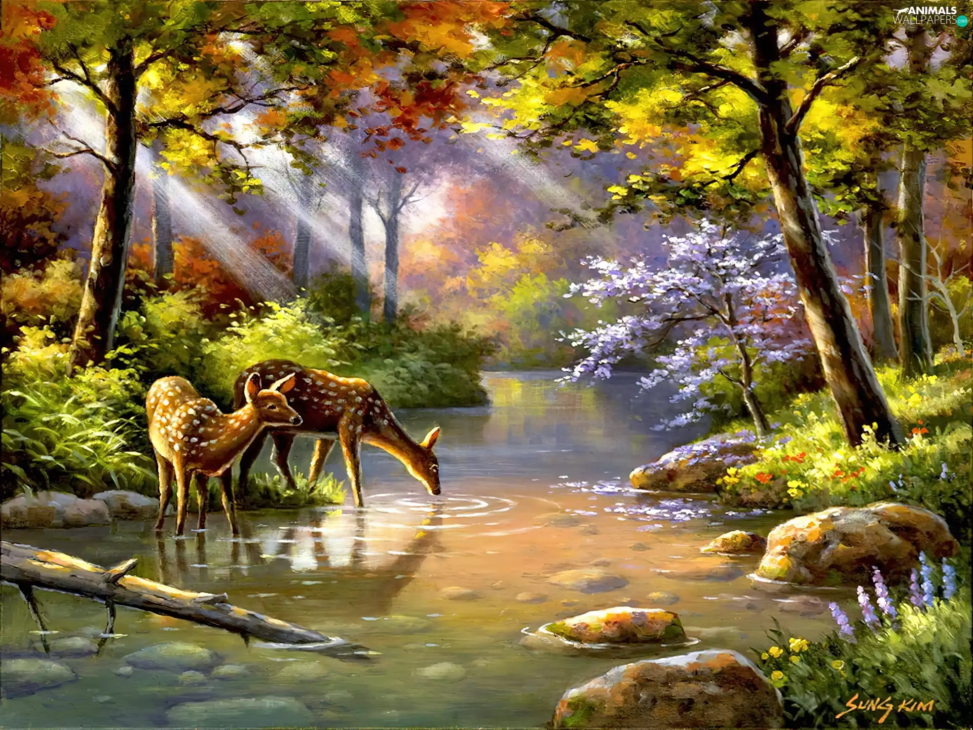 rays, sun, River, deer, forest