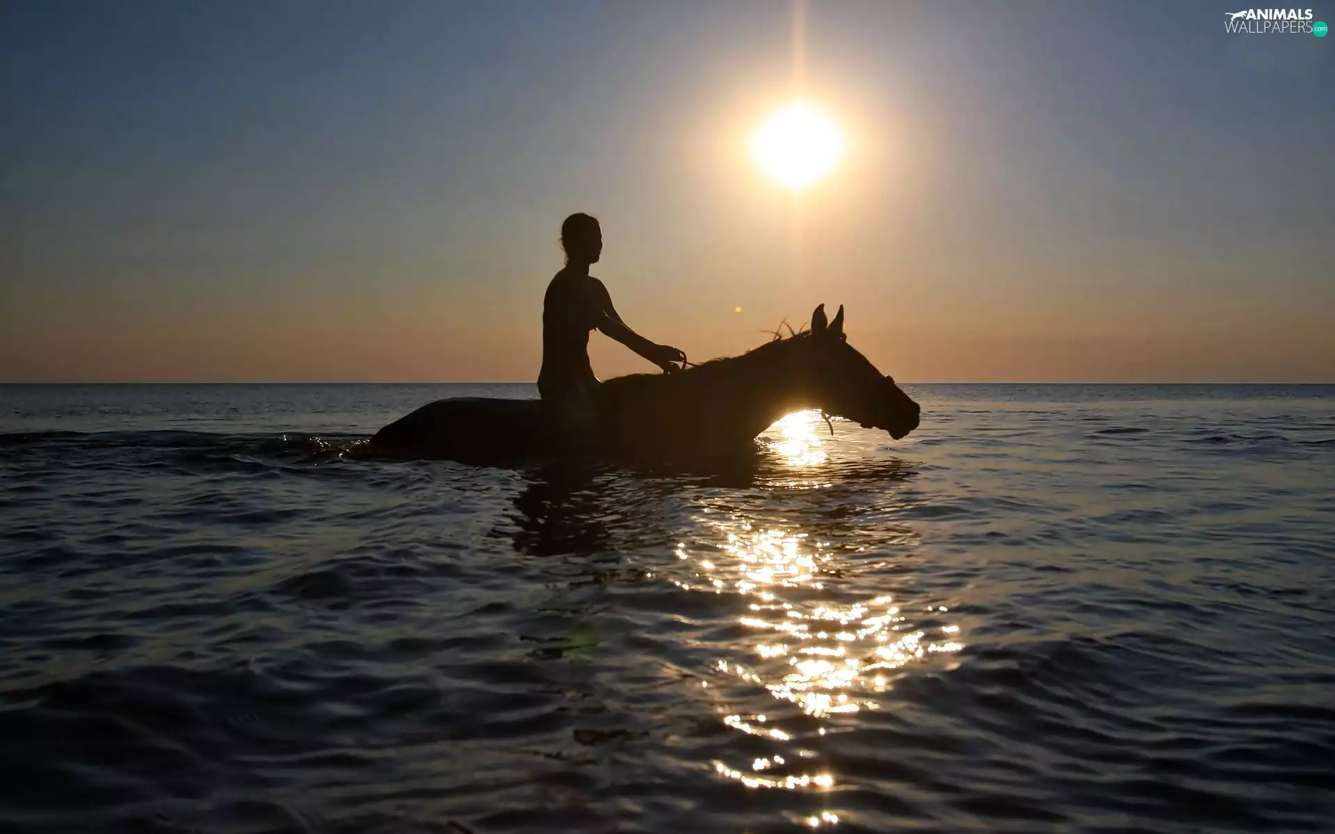 sea, Horse, girl, sun