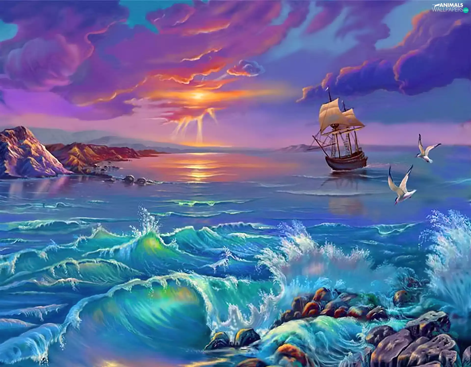 sailing vessel, sea, sun, gulls, west, Waves