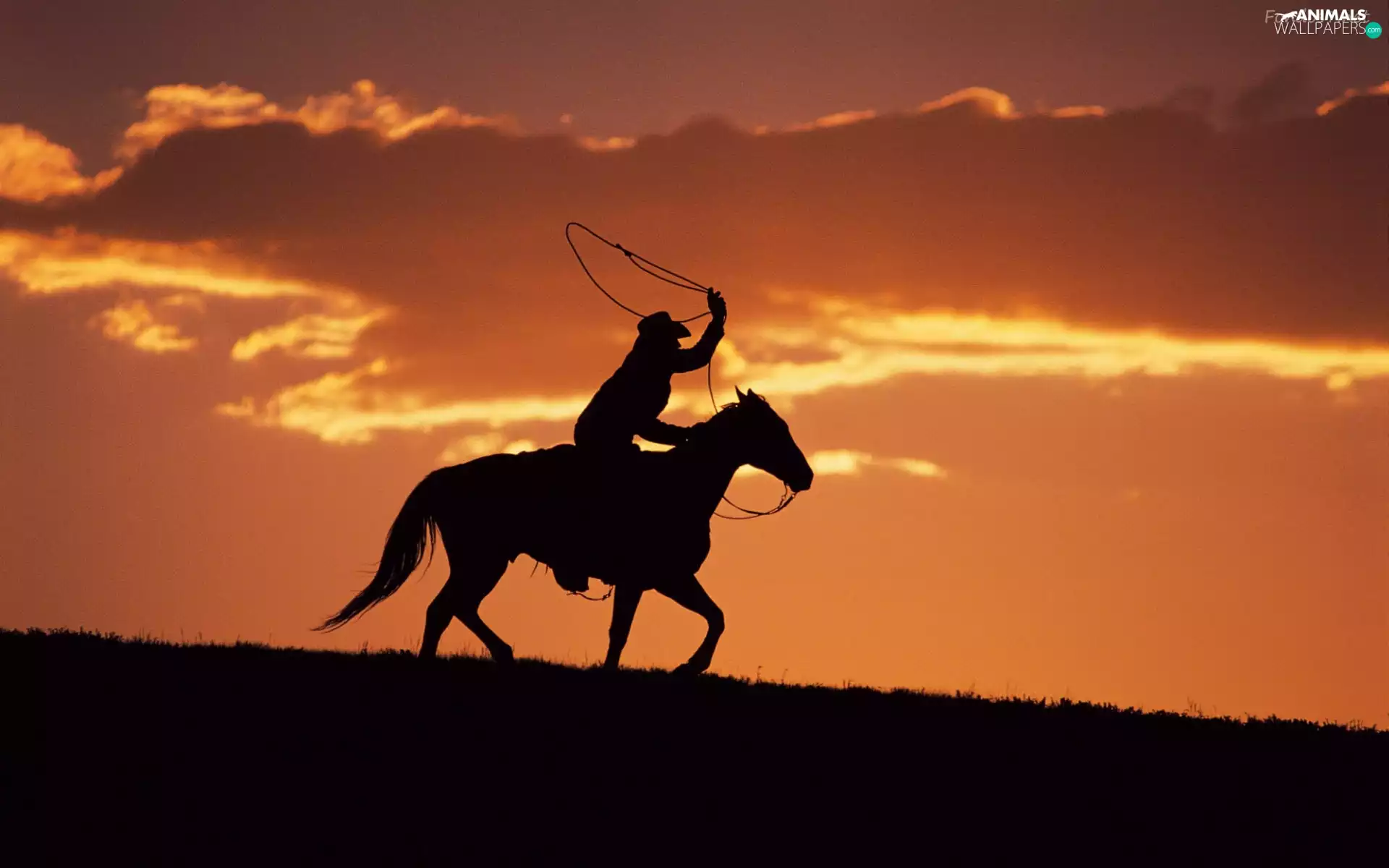 west, rider, Horse, sun