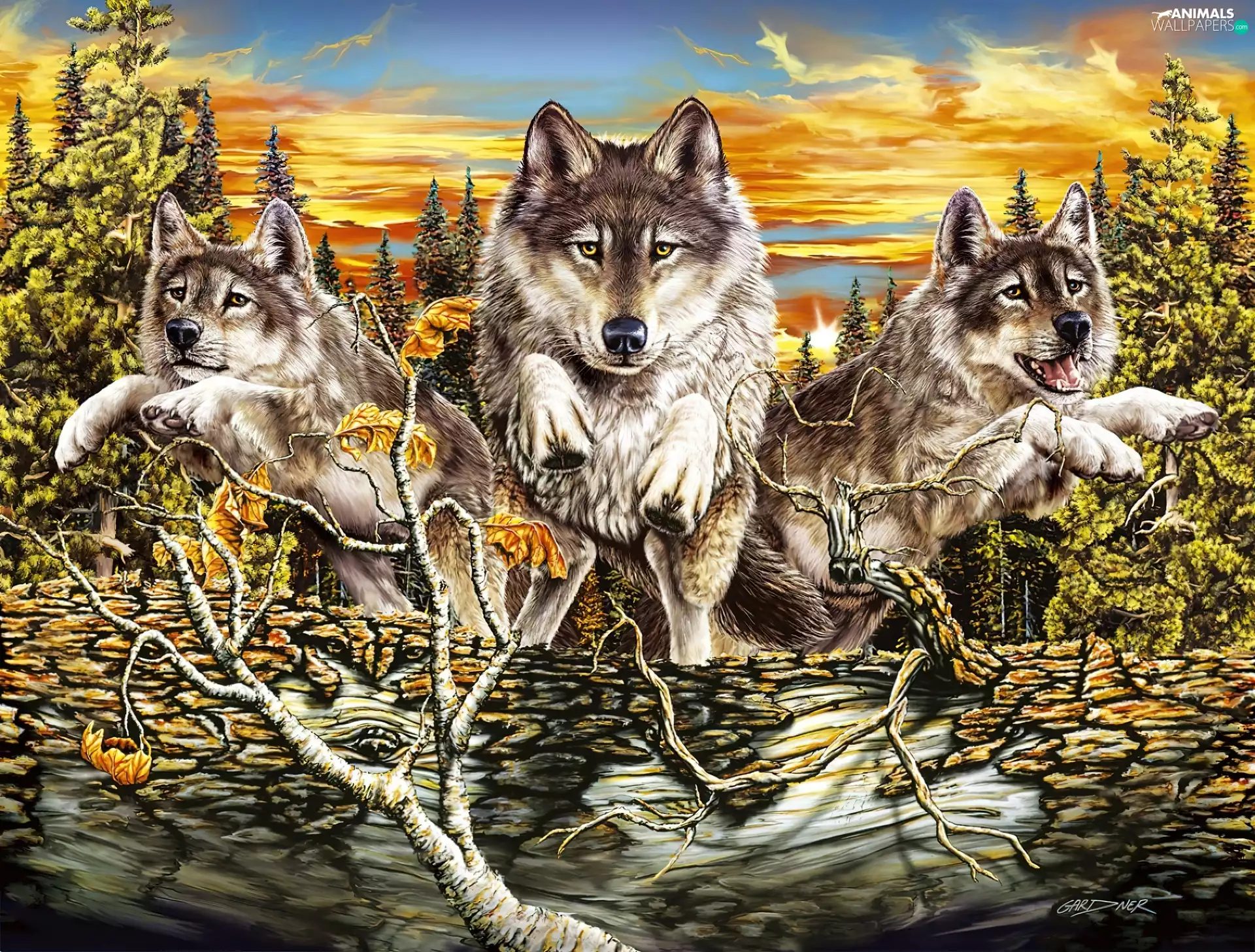 trees, Three, west, sun, viewes, wolves