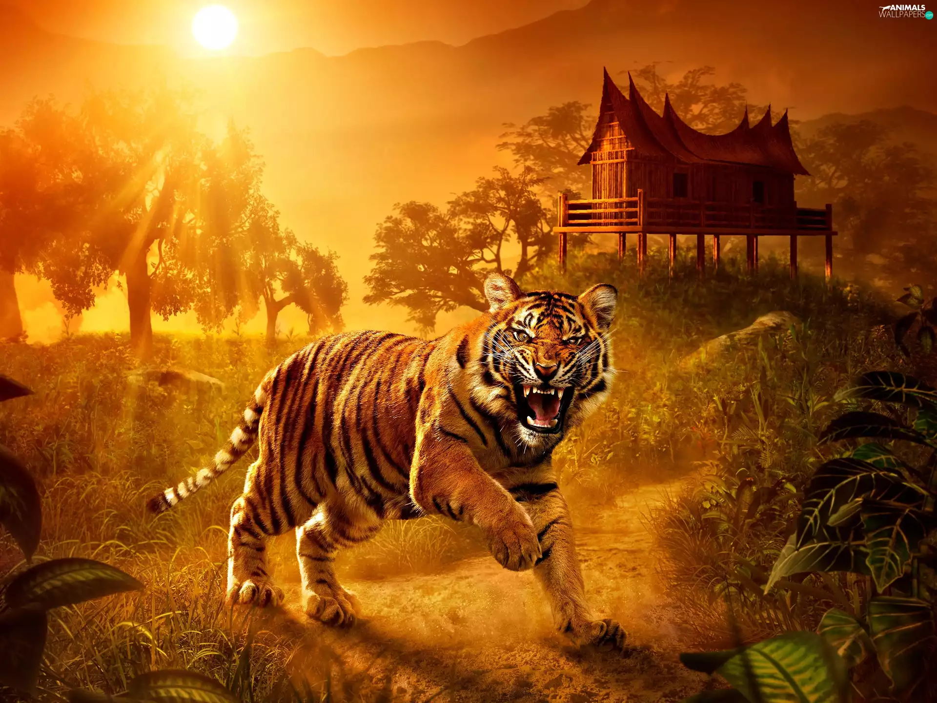 Great Sunsets, Furious Tiger, Mountains