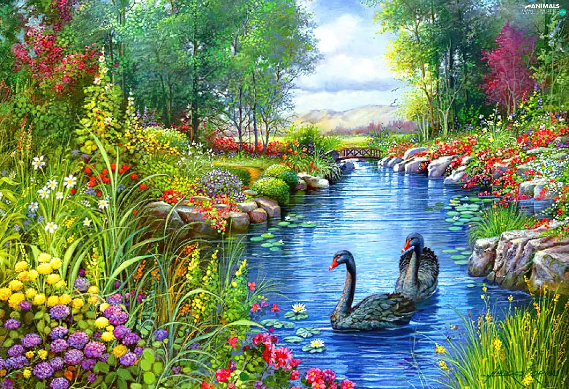 Black, Swan, color, Flowers, River