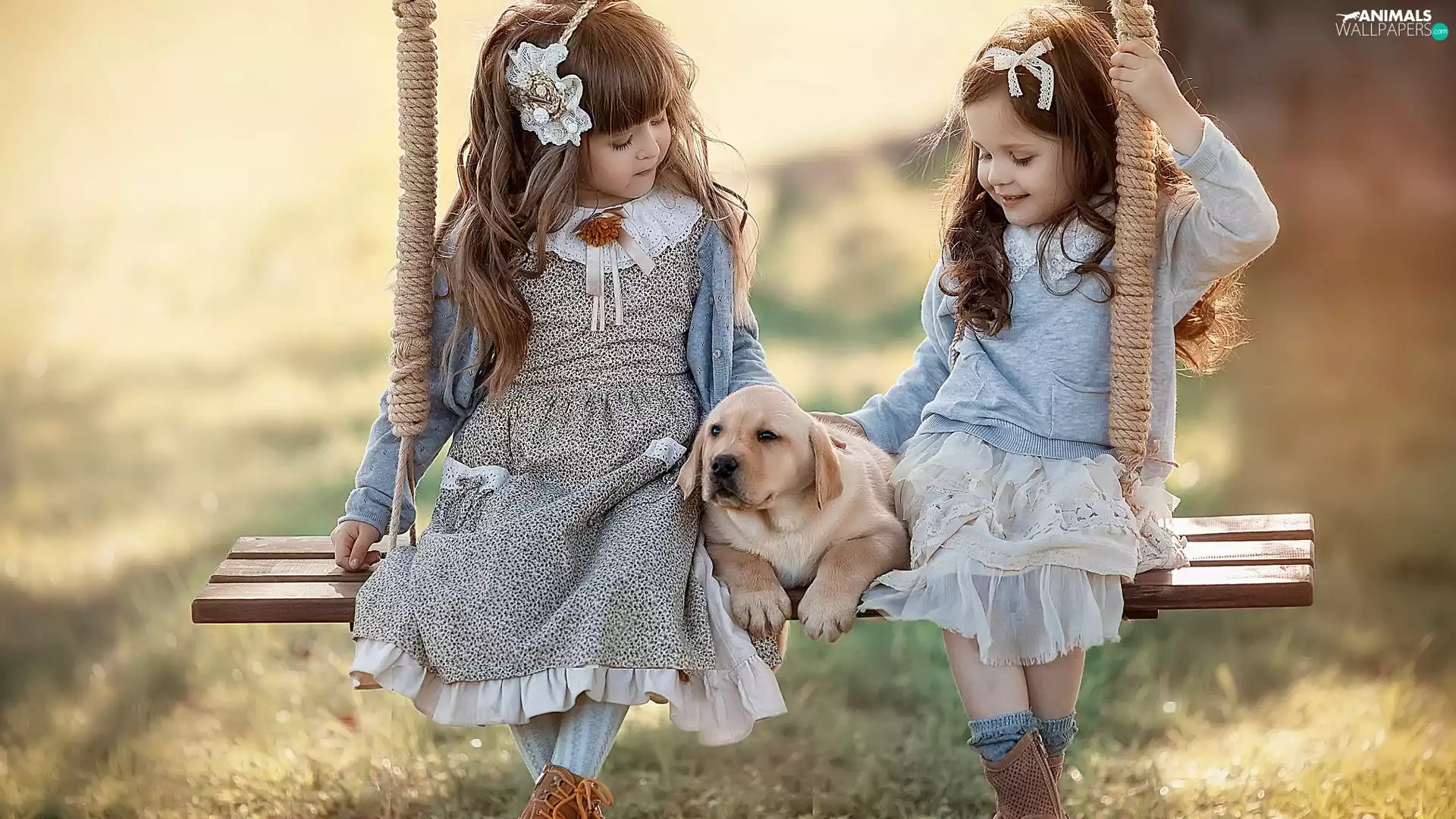 girls, dog, Puppy, Swing