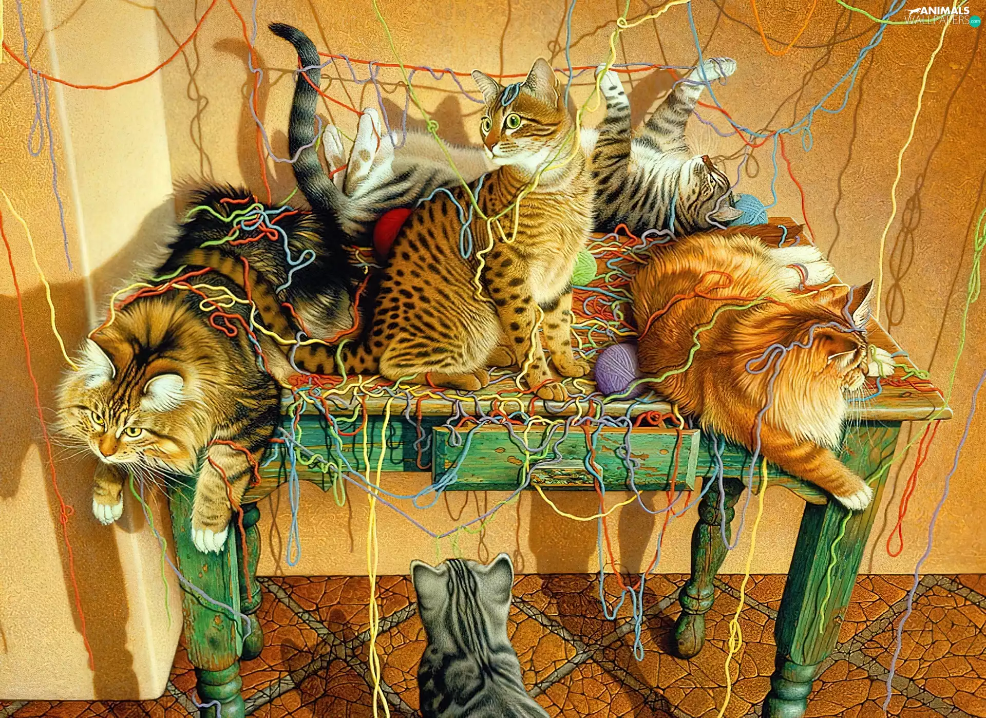 cats, Threads, wool, Table