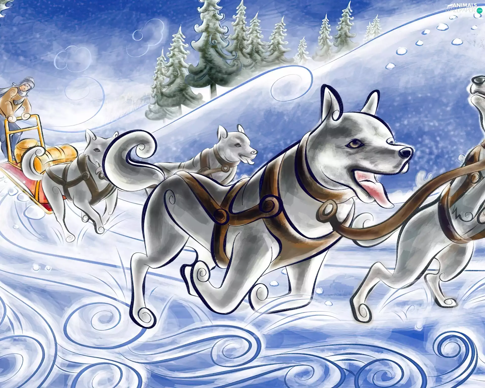 winter, dogs, sleigh, team