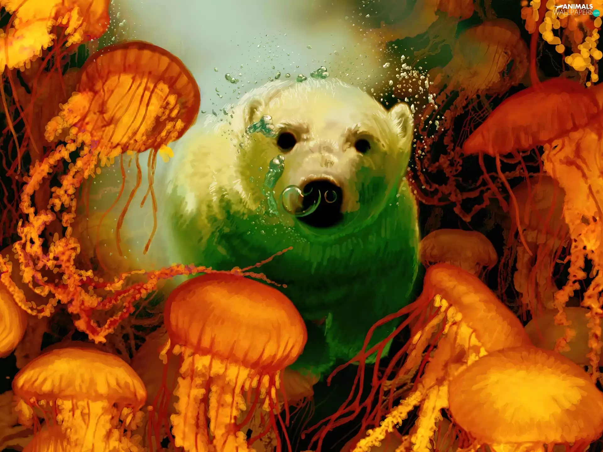 White, teddy bear, jellyfish, polar