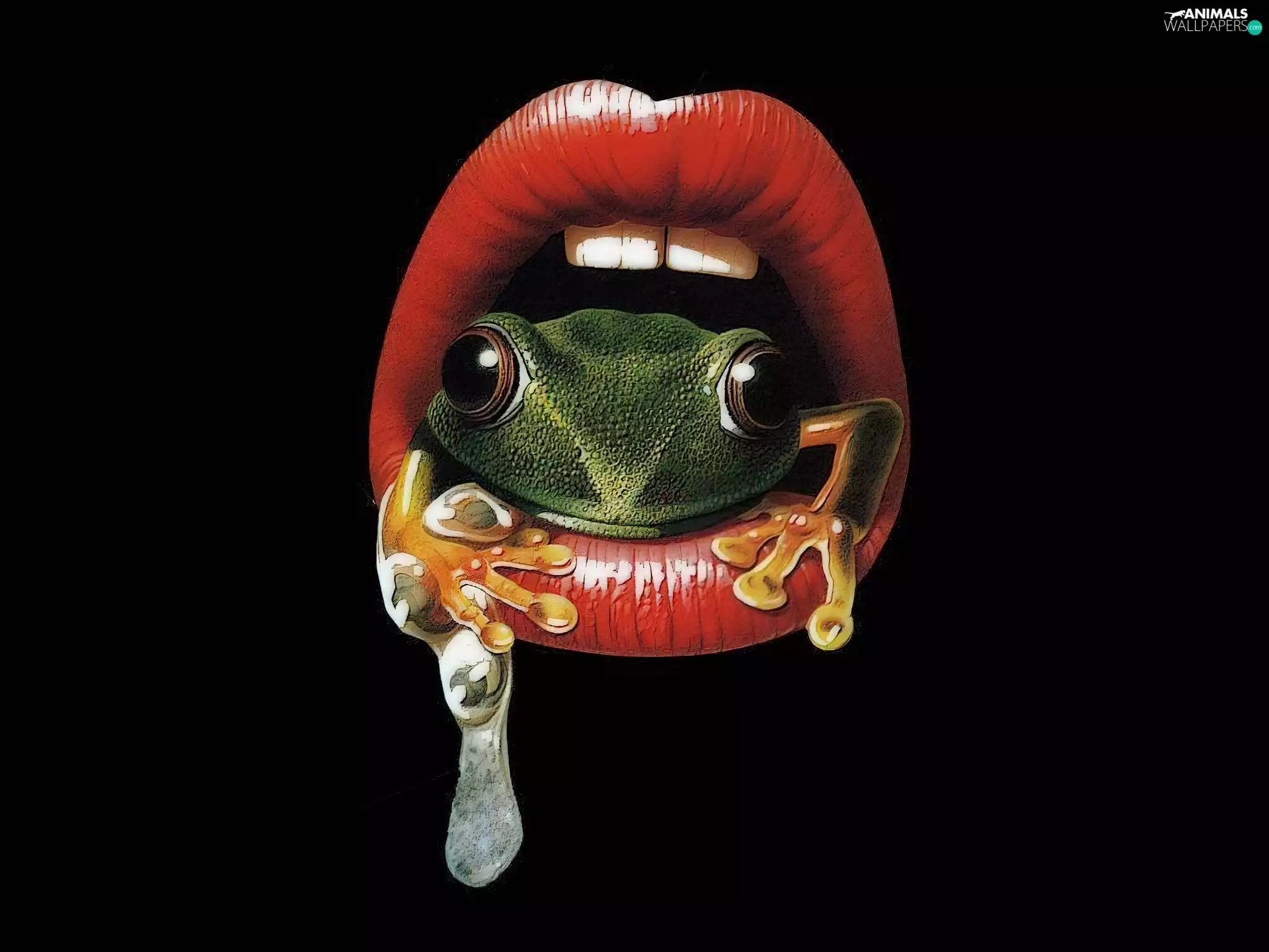 strange frog, lips, Teeth